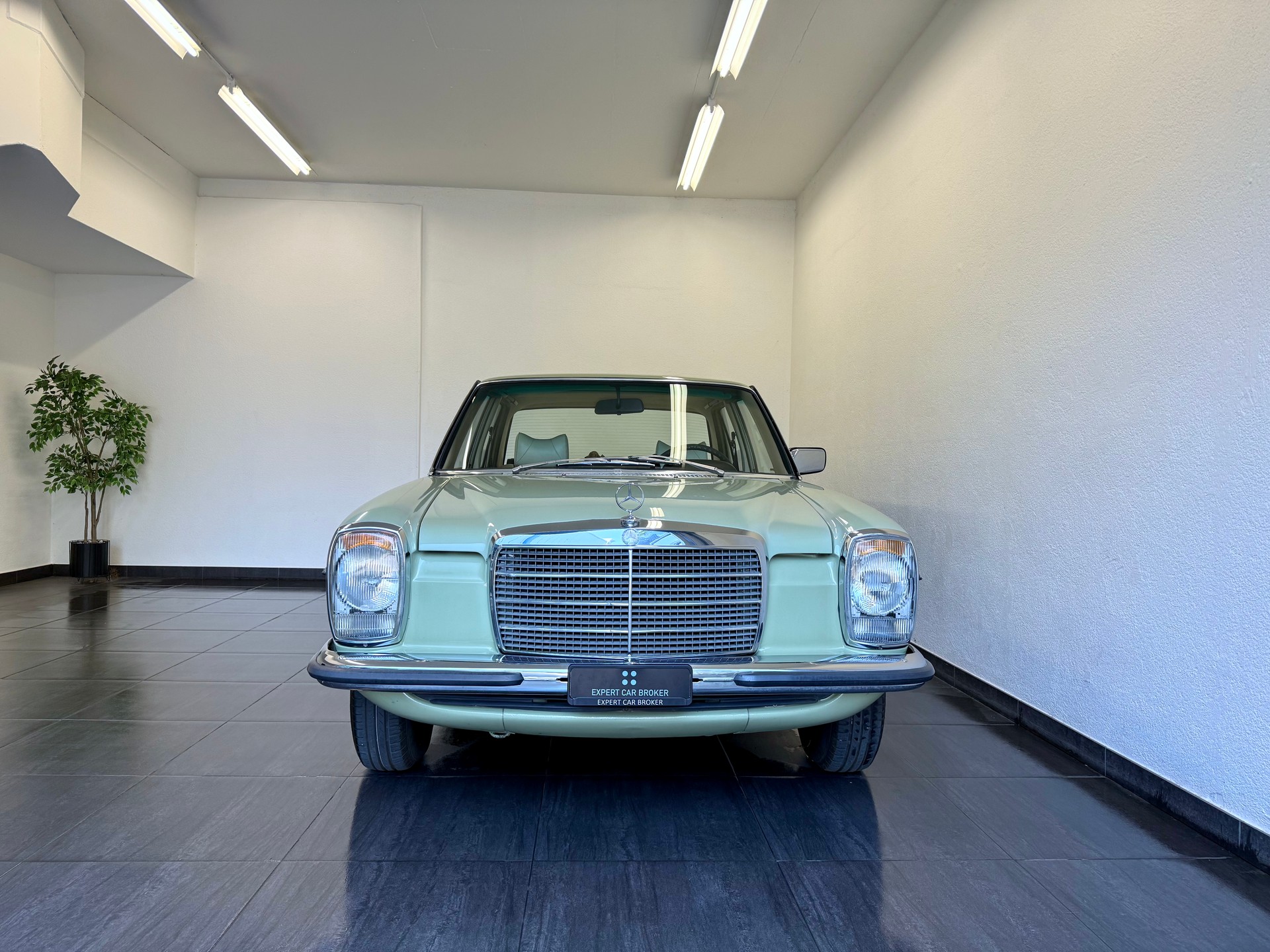 MERCEDES-BENZ .4-image-3