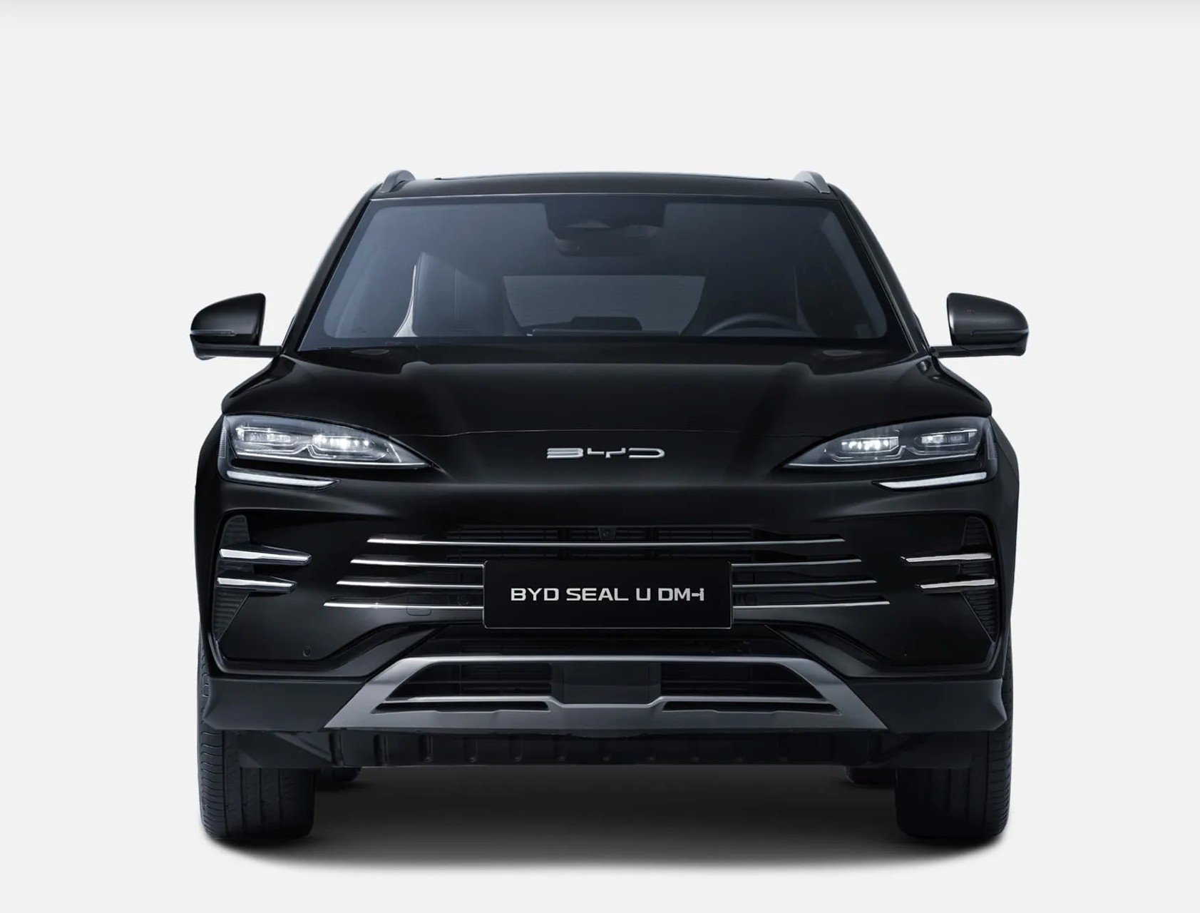 BYD Seal U DM-i Comfort-image-1