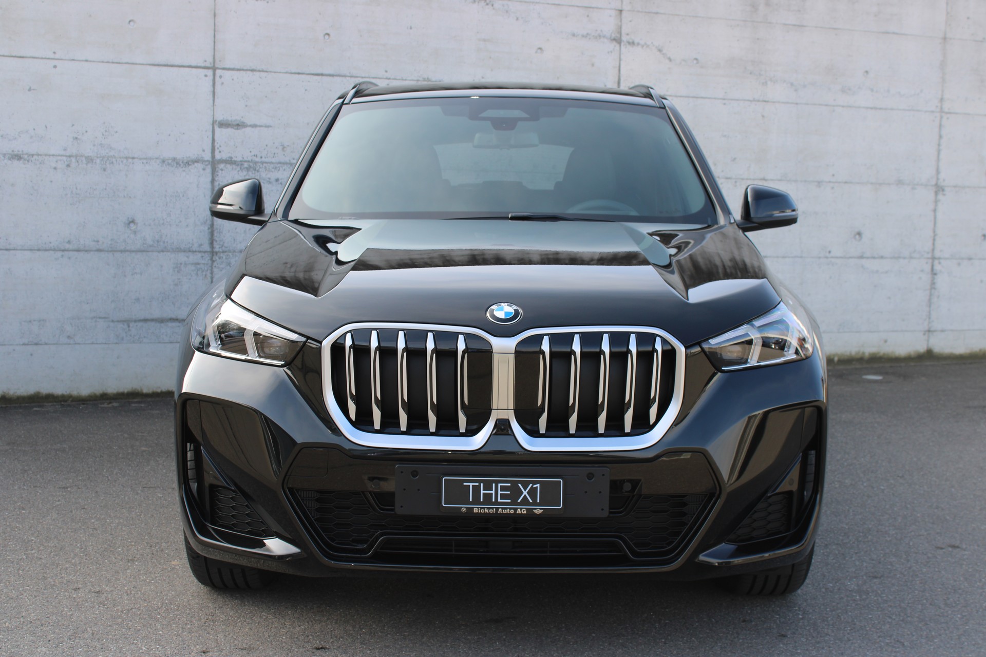 BMW X1 xDrive 20d 48V M Sport-showroom-element-1