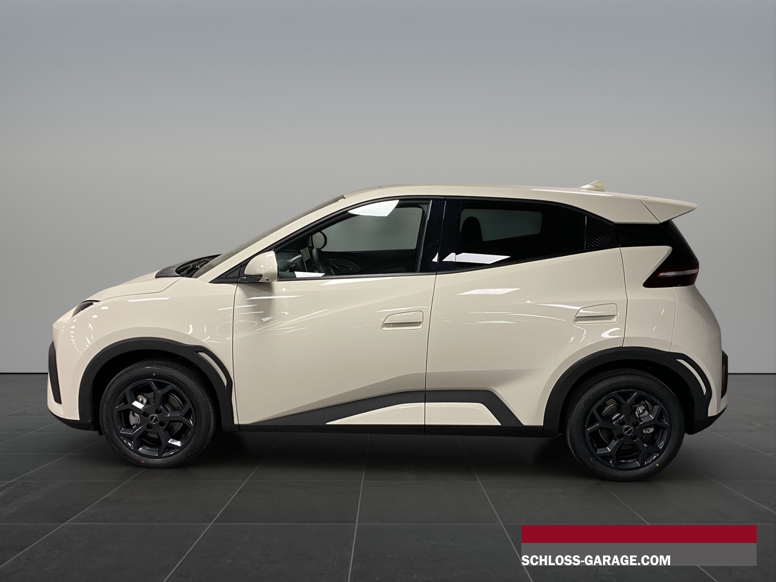 BYD Dolphin Surf Comfort-image-2
