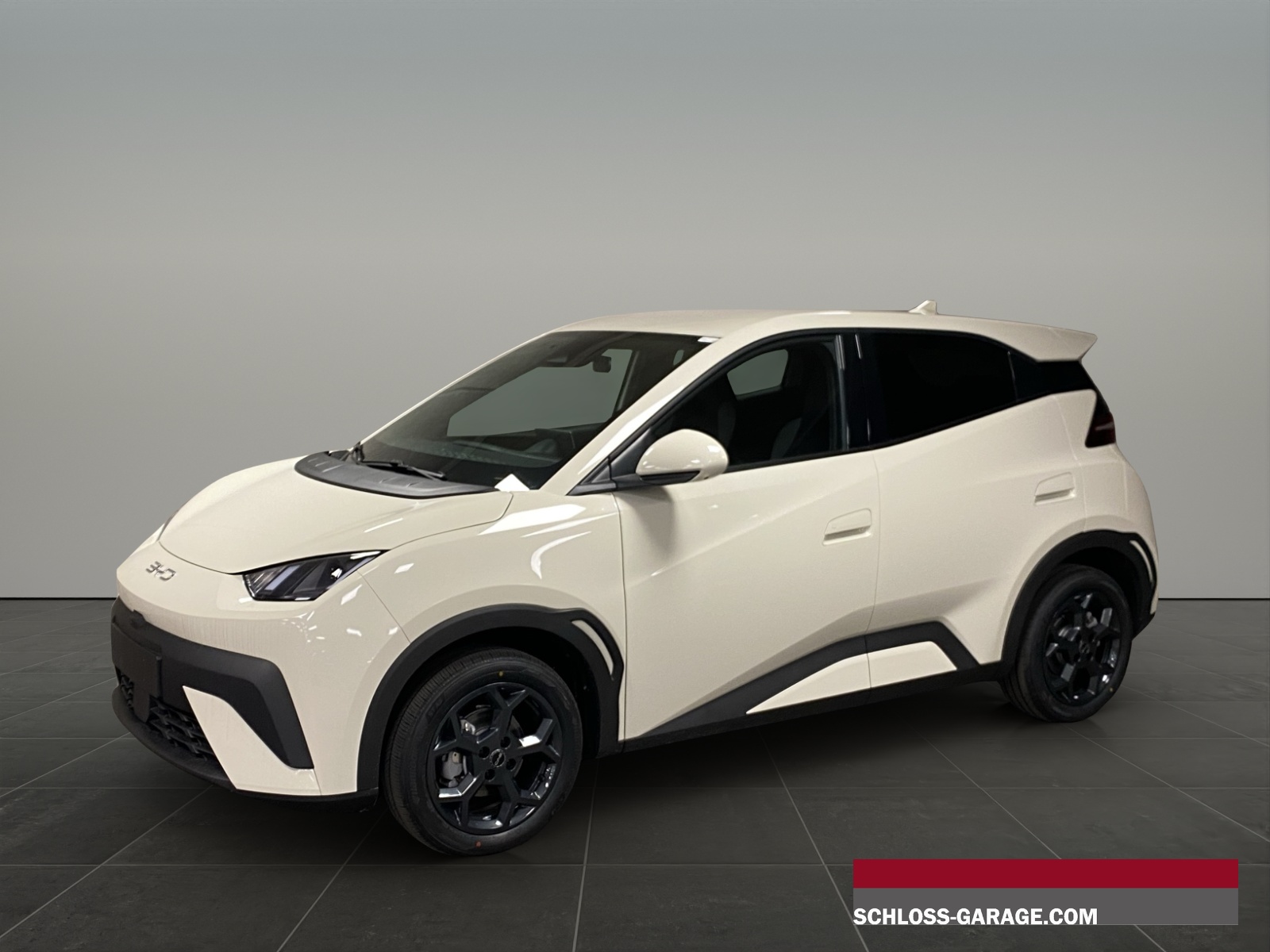 BYD Dolphin Surf Comfort-image-0