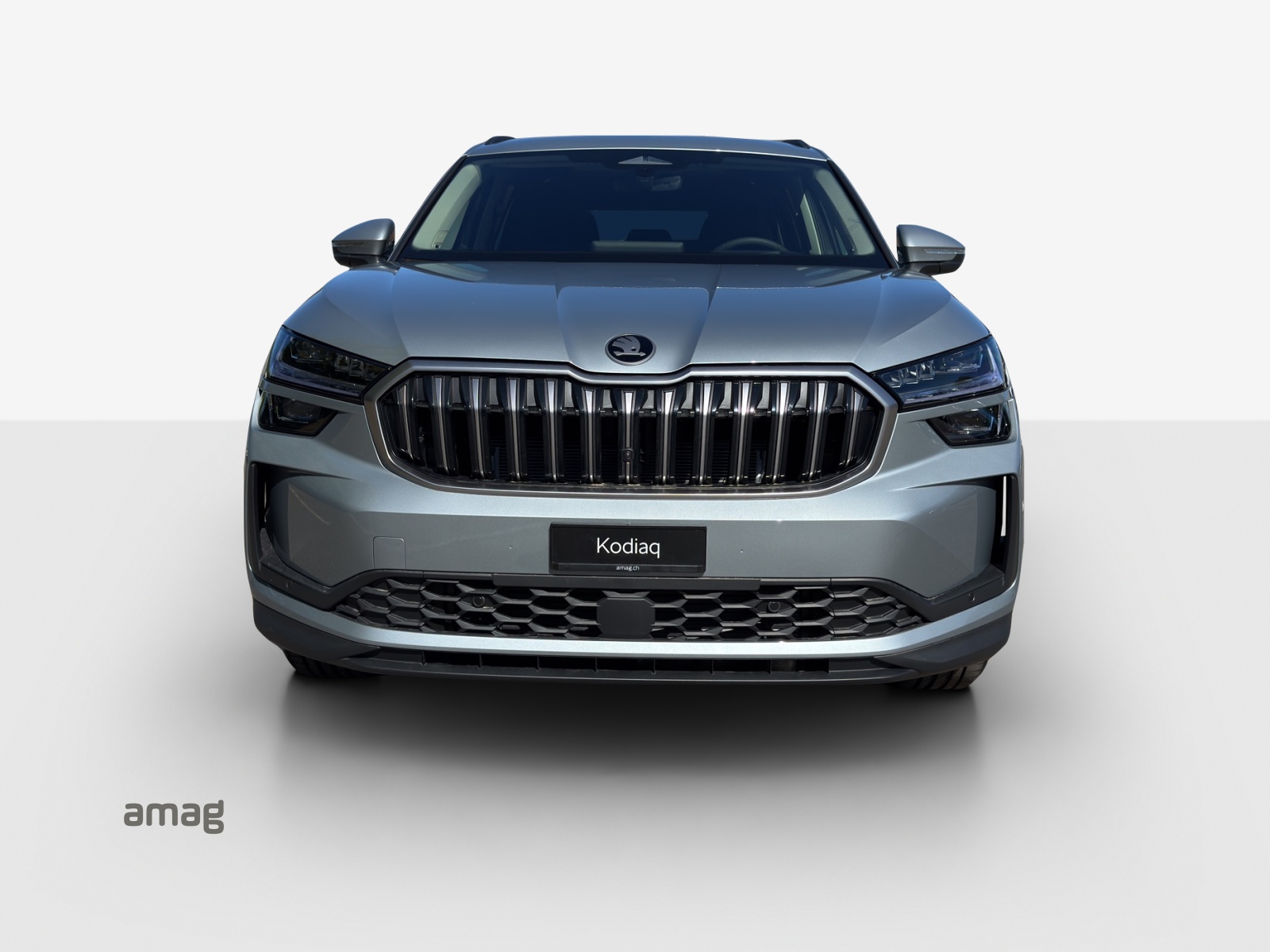 SKODA Kodiaq Dynamic 2.0TDI 193PS 7DSG4x4-image-6