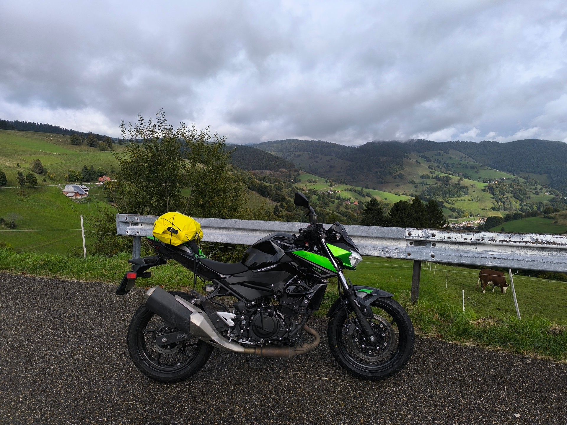 KAWASAKI Z 400