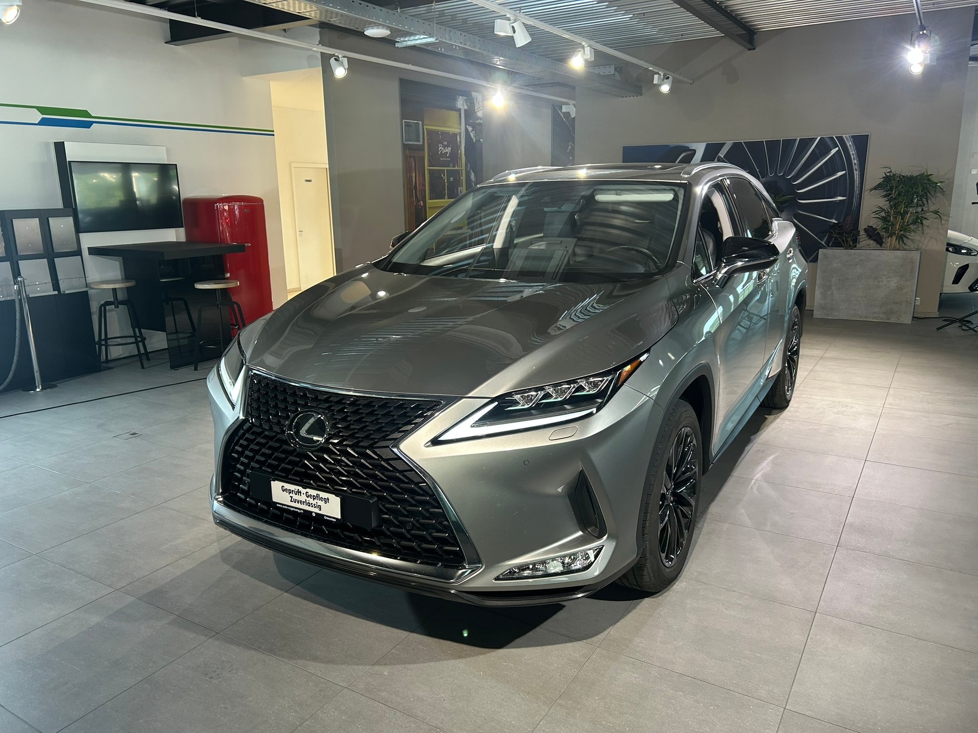 LEXUS RX 300 Special Edition AWD-image-5