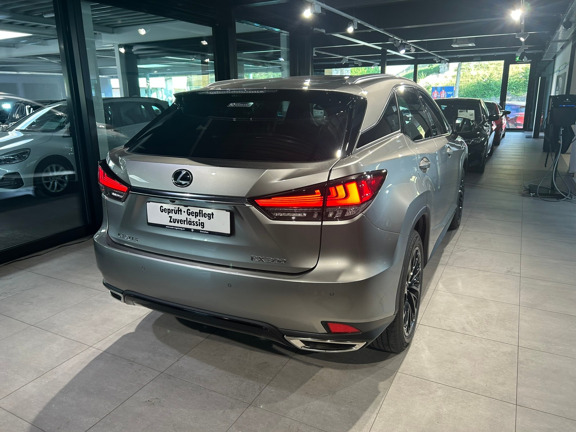 LEXUS RX 300 Special Edition AWD-image-11