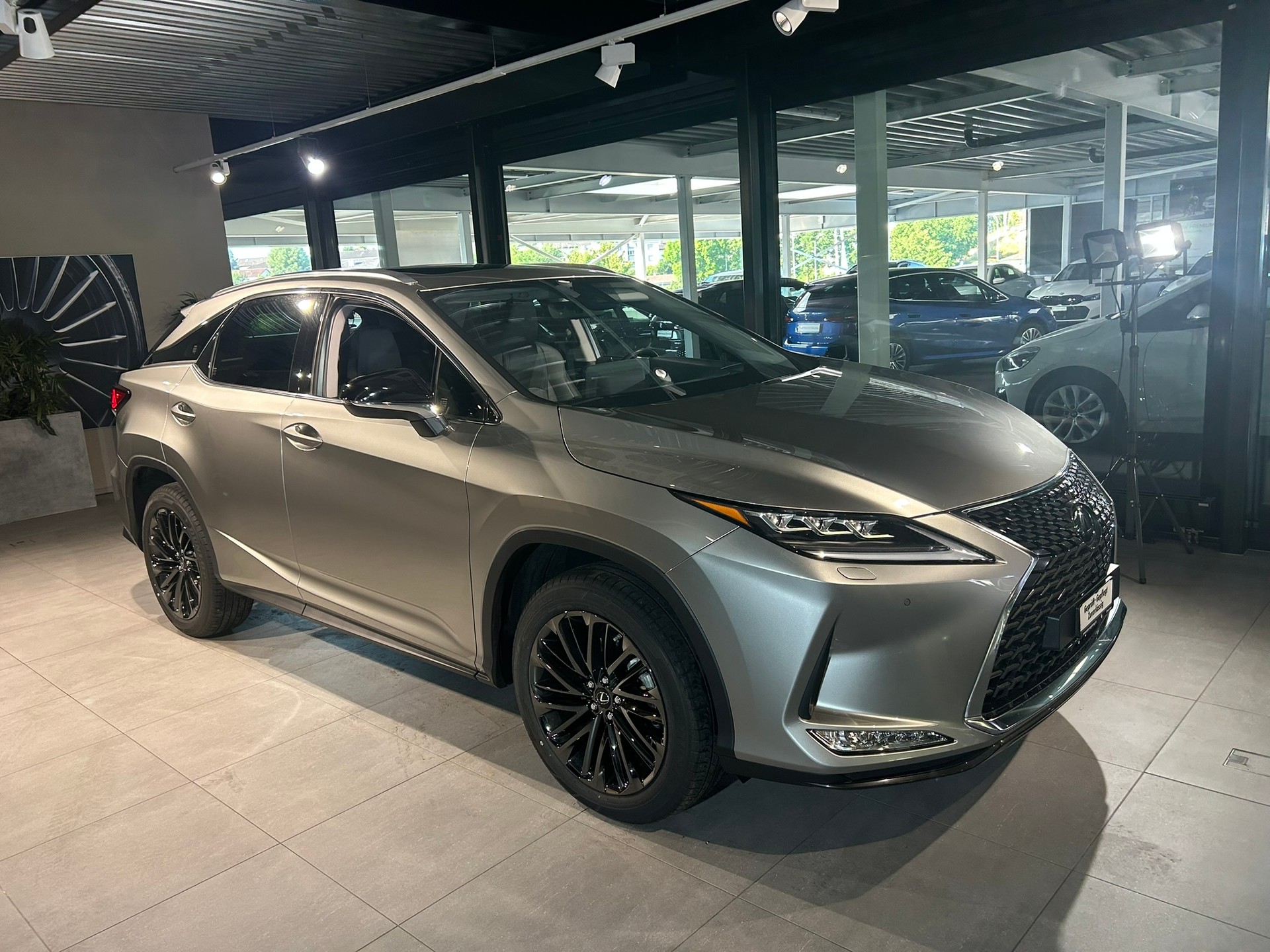 LEXUS RX 300 Special Edition AWD-image-2