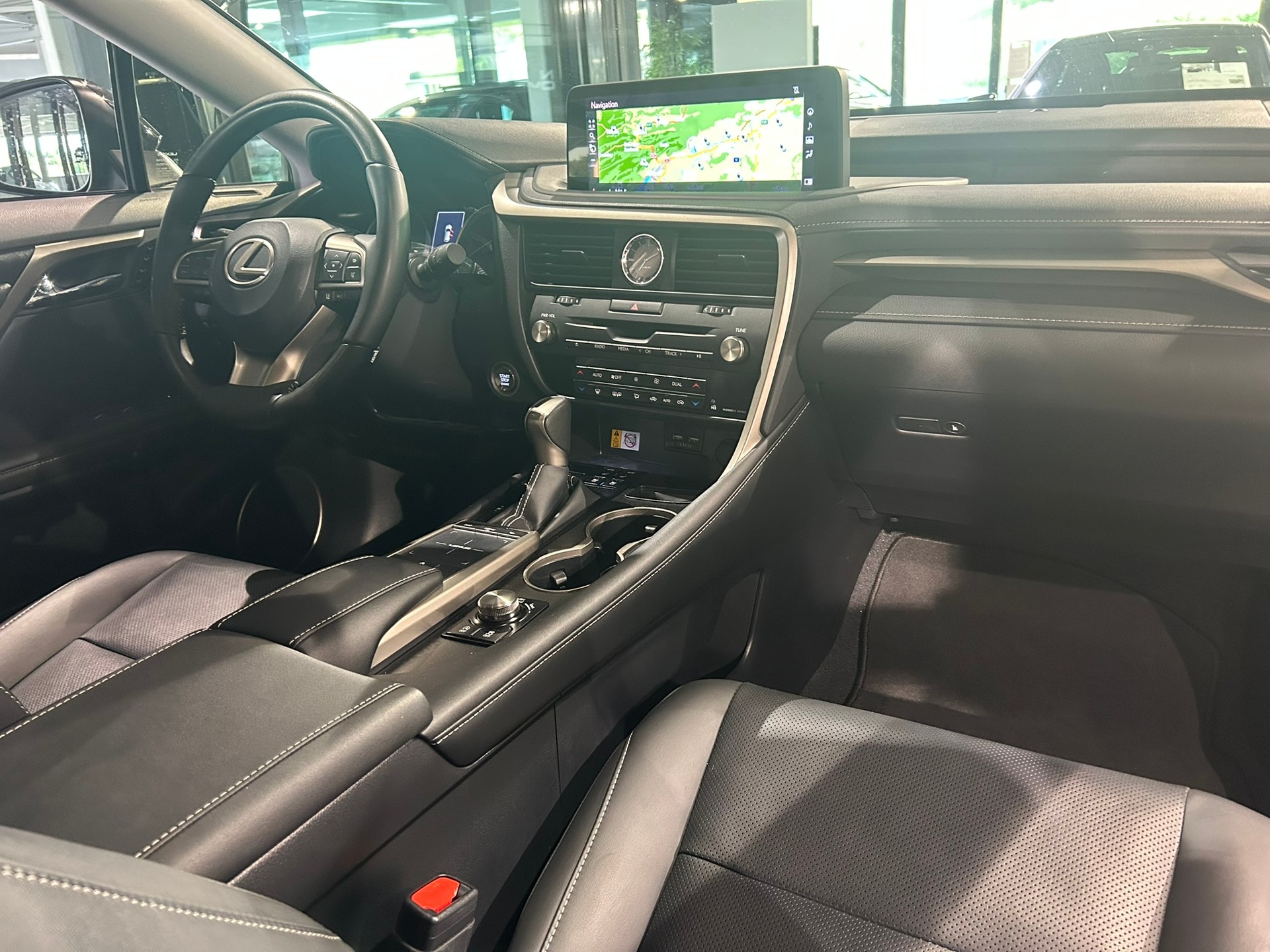 LEXUS RX 300 Special Edition AWD-image-31