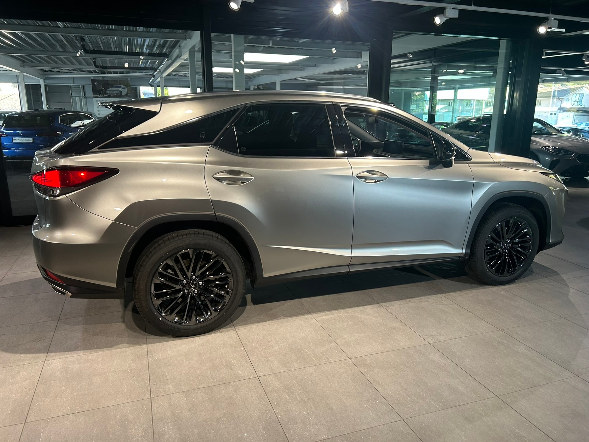 LEXUS RX 300 Special Edition AWD-image-13