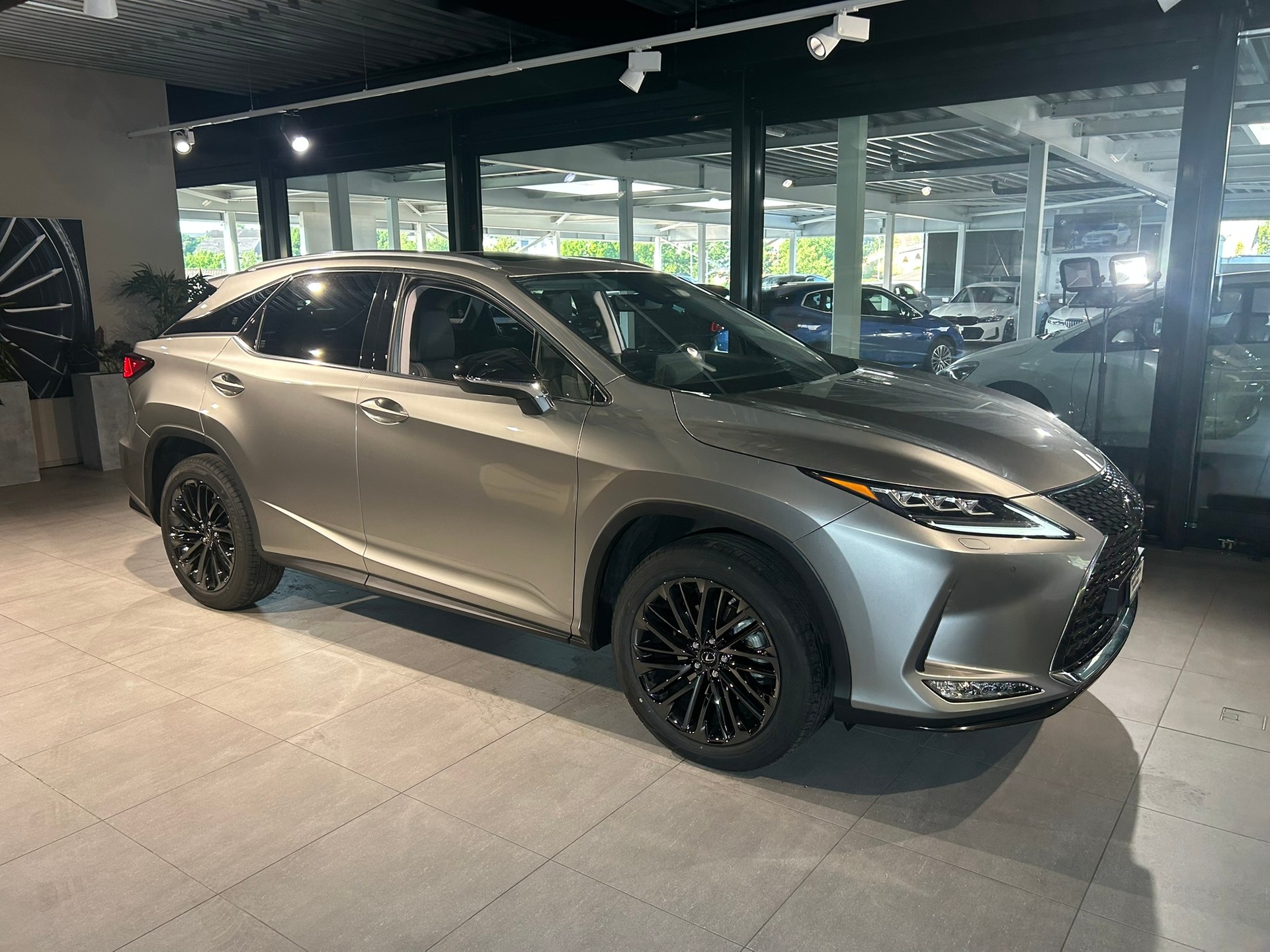 LEXUS RX 300 Special Edition AWD-image-1
