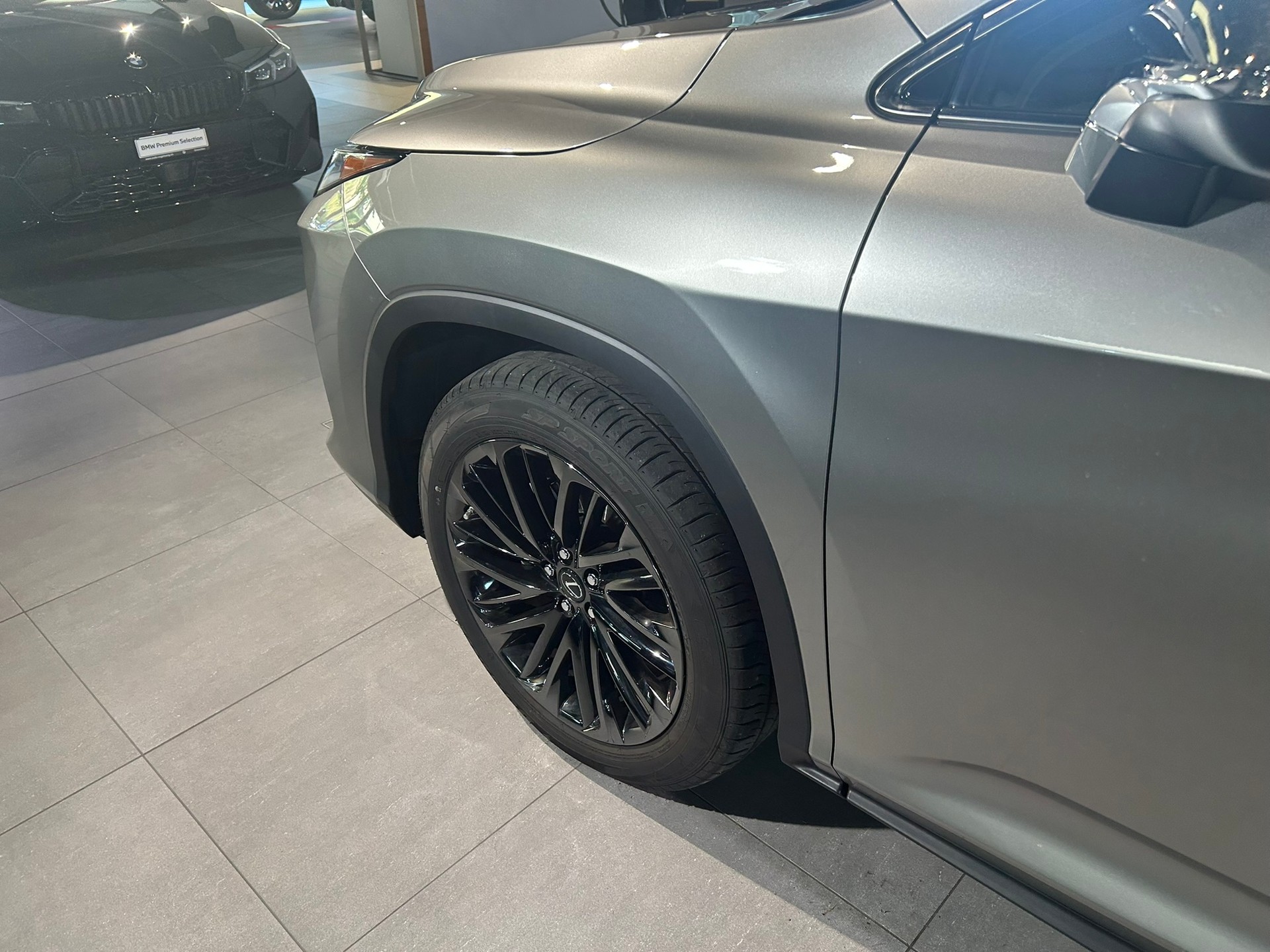 LEXUS RX 300 Special Edition AWD-image-16