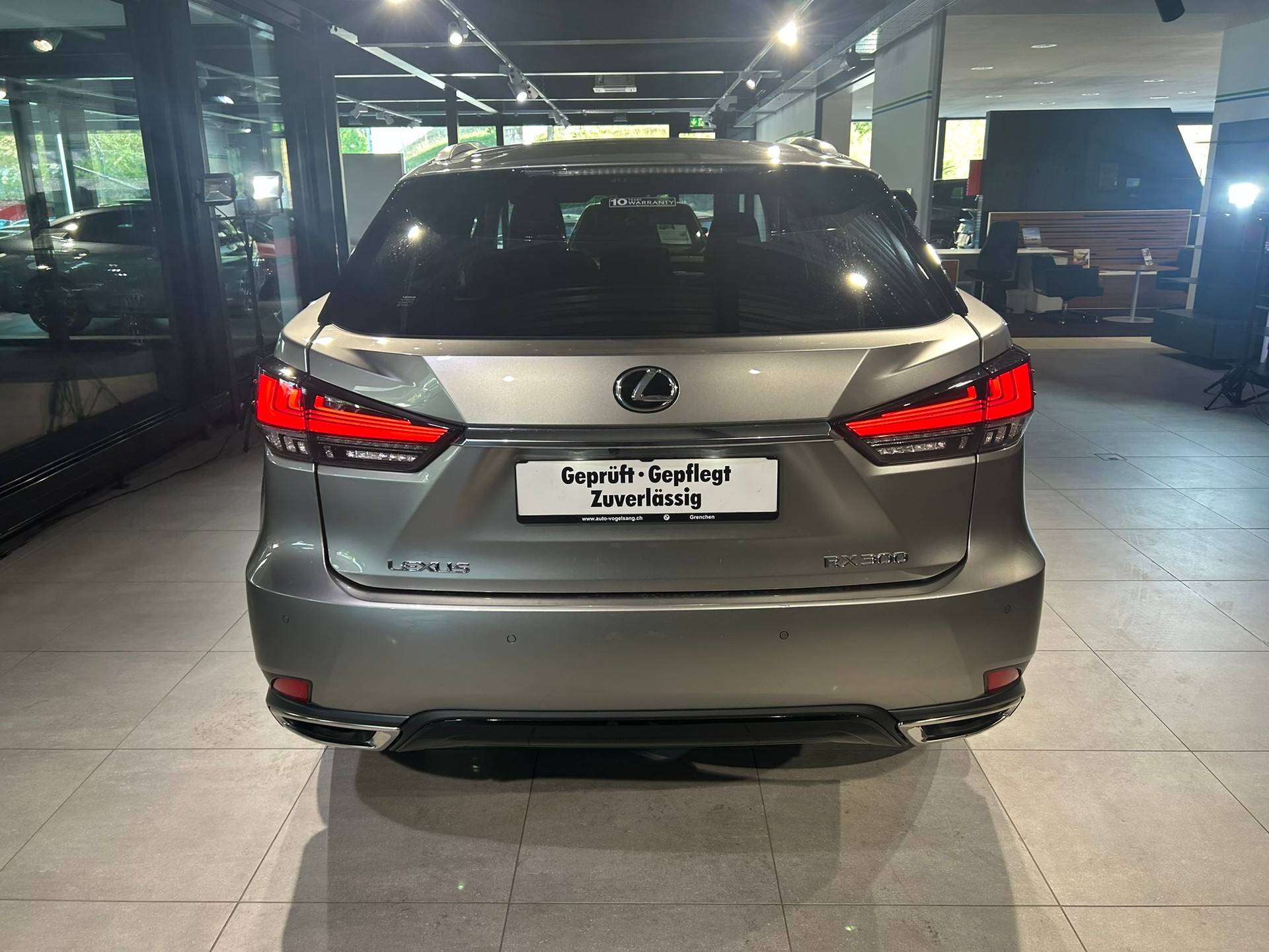 LEXUS RX 300 Special Edition AWD-image-10