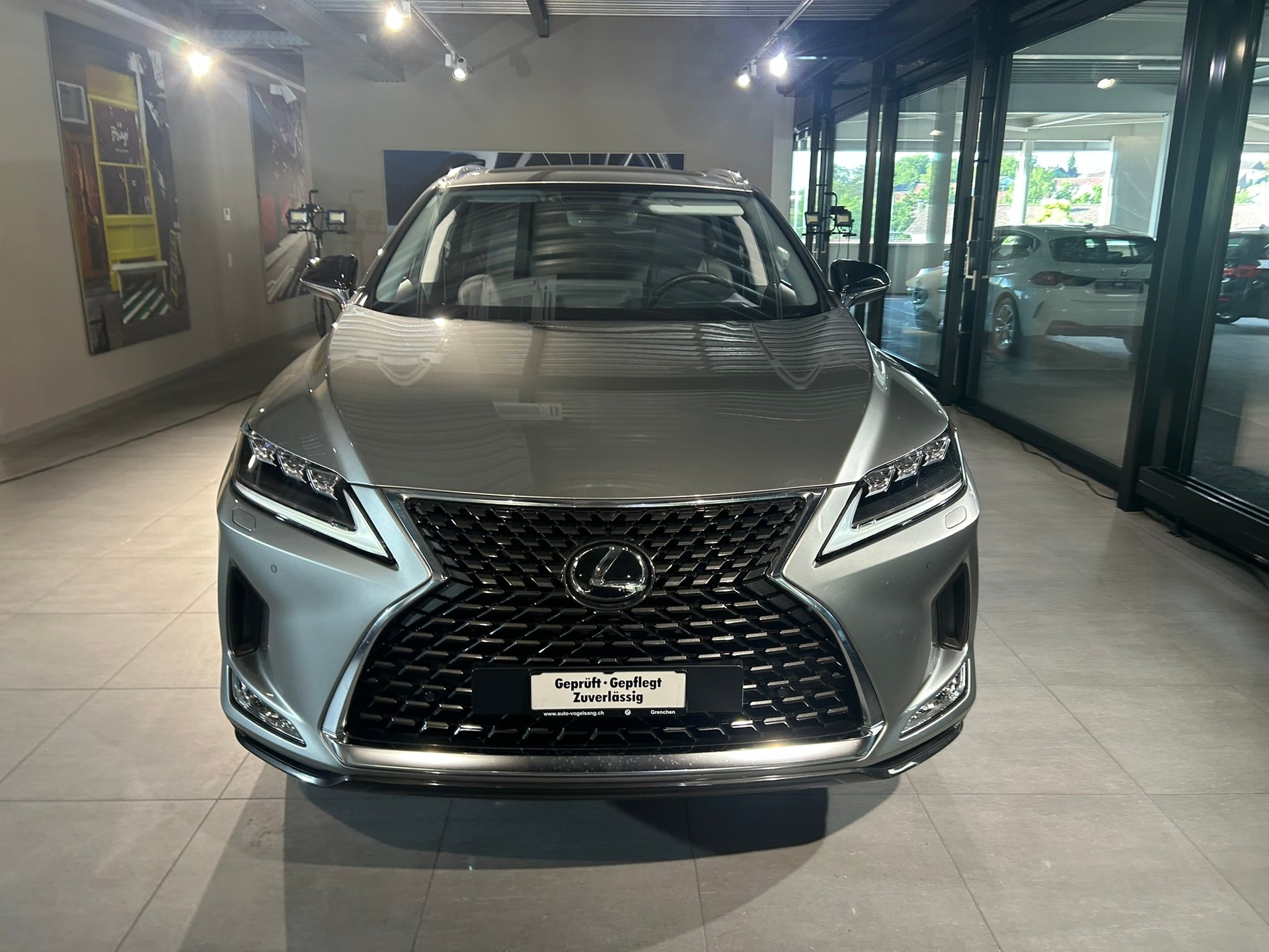 LEXUS RX 300 Special Edition AWD-image-6