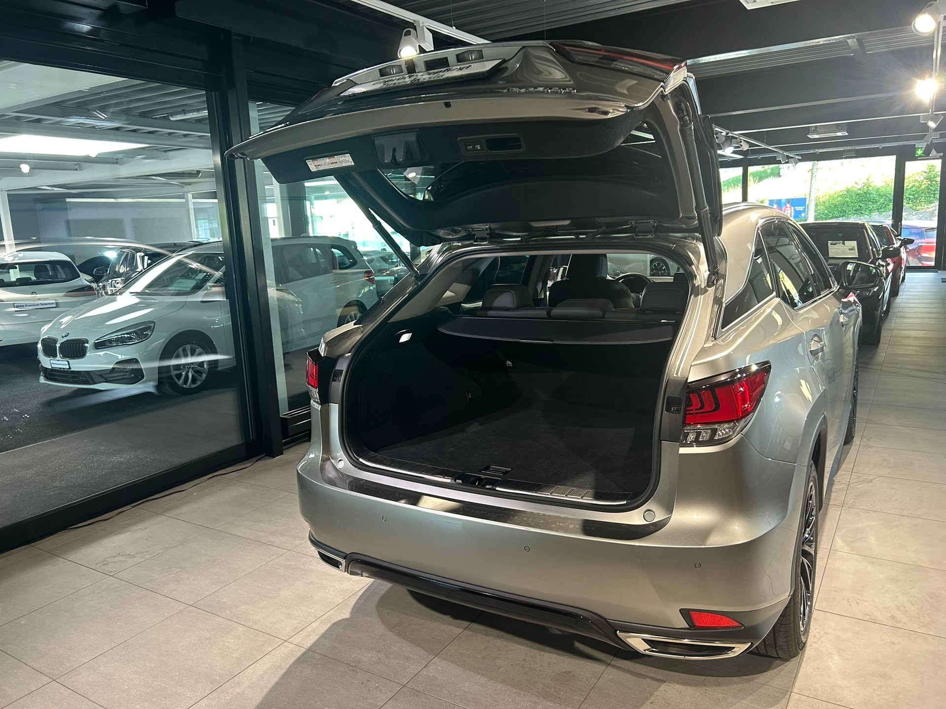 LEXUS RX 300 Special Edition AWD-image-14