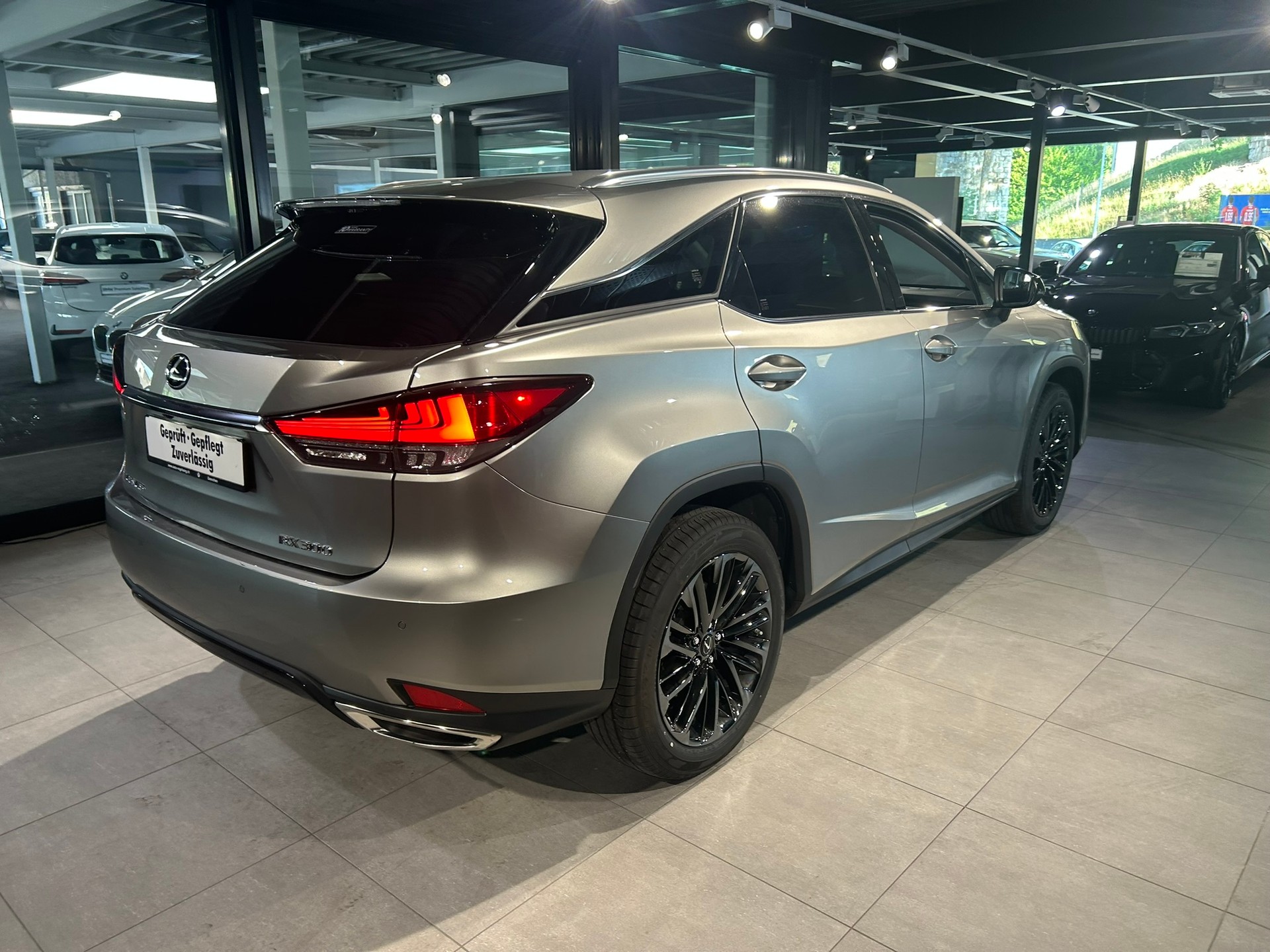 LEXUS RX 300 Special Edition AWD-image-12