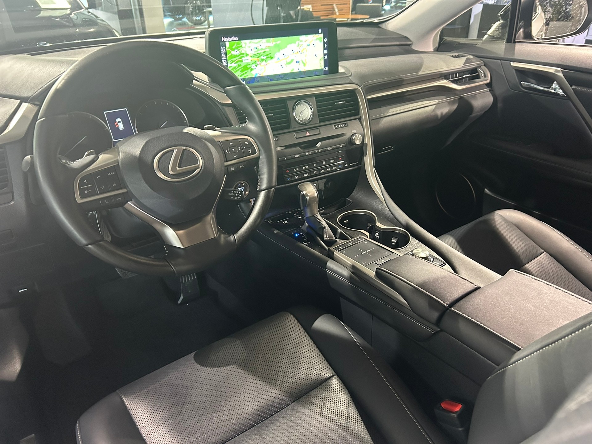LEXUS RX 300 Special Edition AWD-image-24
