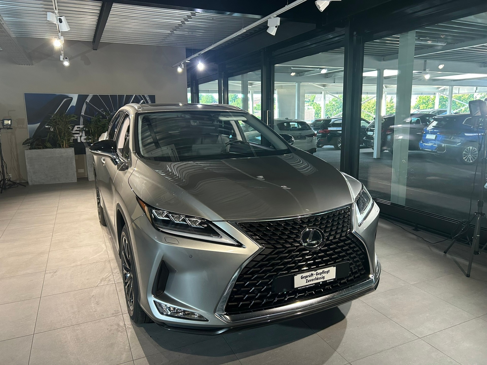 LEXUS RX 300 Special Edition AWD-image-3