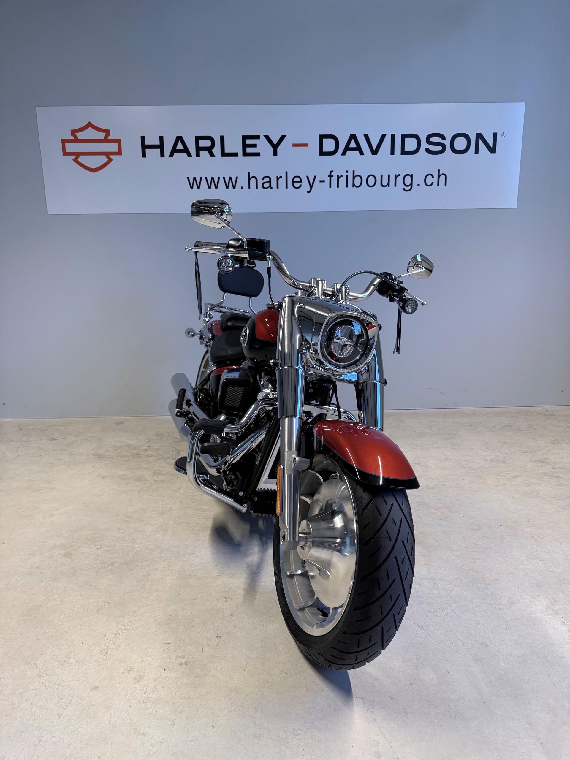 HARLEY-DAVIDSON FLFB Fat Boy 117ci-showroom-element-2