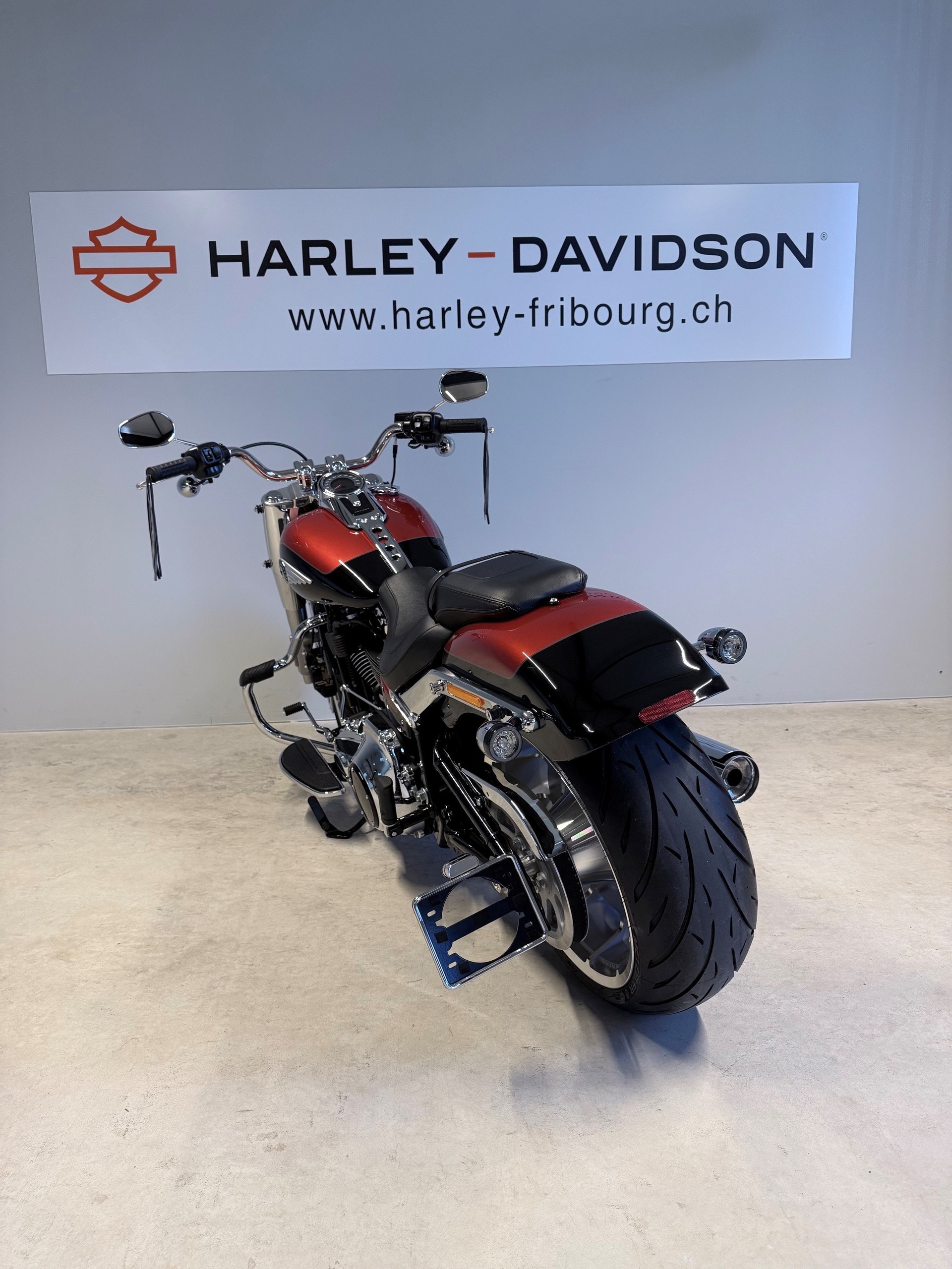 HARLEY-DAVIDSON FLFB Fat Boy 117ci-image-4