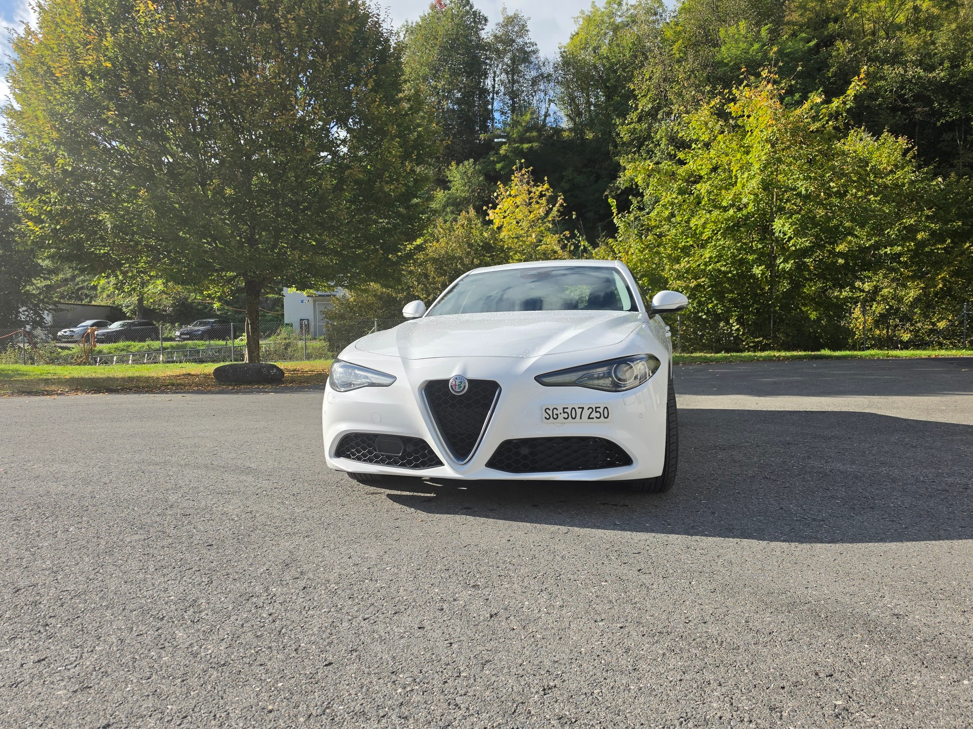 ALFA ROMEO Giulia 2.2 JTDM Super Automatic-showroom-element-2