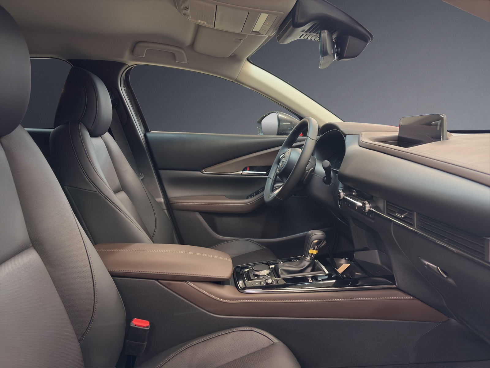 MAZDA CX-30 SKYACTIV-G 140 M Hybrid Takumi FWD AT-image-9