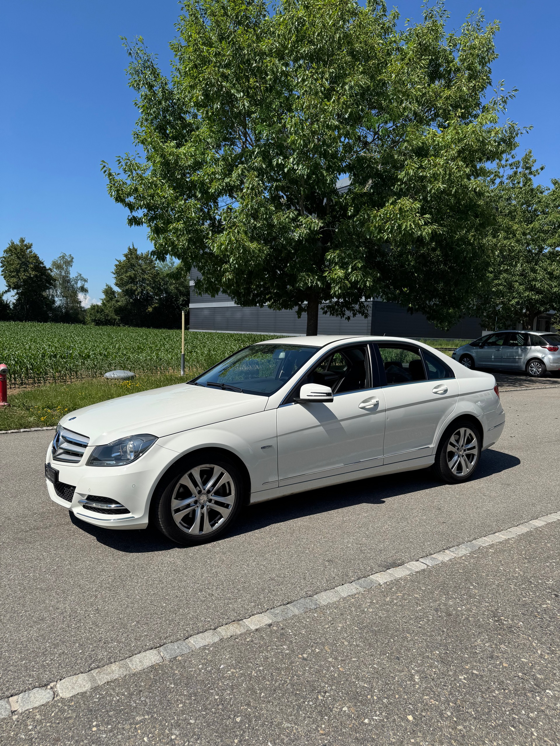 MERCEDES-BENZ C 250 CDI 4Matic 7G-Tronic-image-2