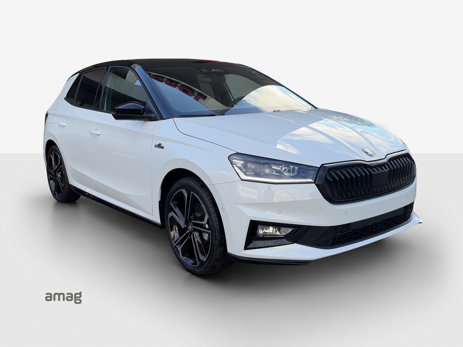 SKODA Fabia 1.0 TSI Monte Carlo DSG-image-5