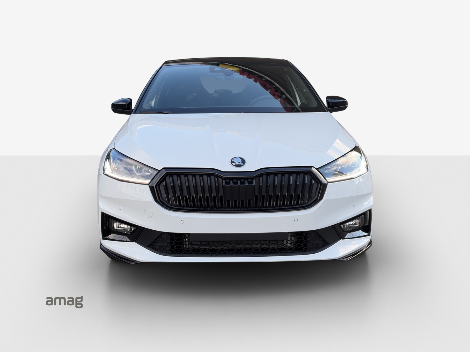 SKODA Fabia 1.0 TSI Monte Carlo DSG-image-6