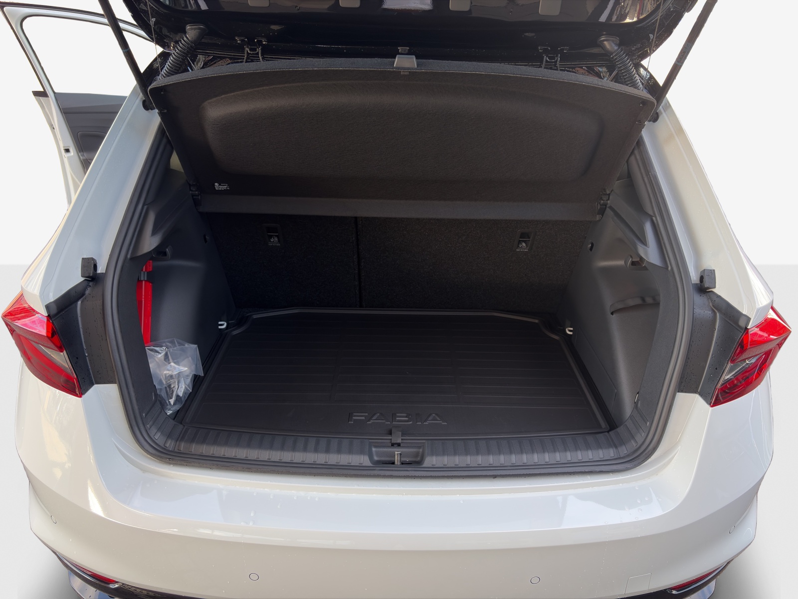 SKODA Fabia 1.0 TSI Monte Carlo DSG-image-12