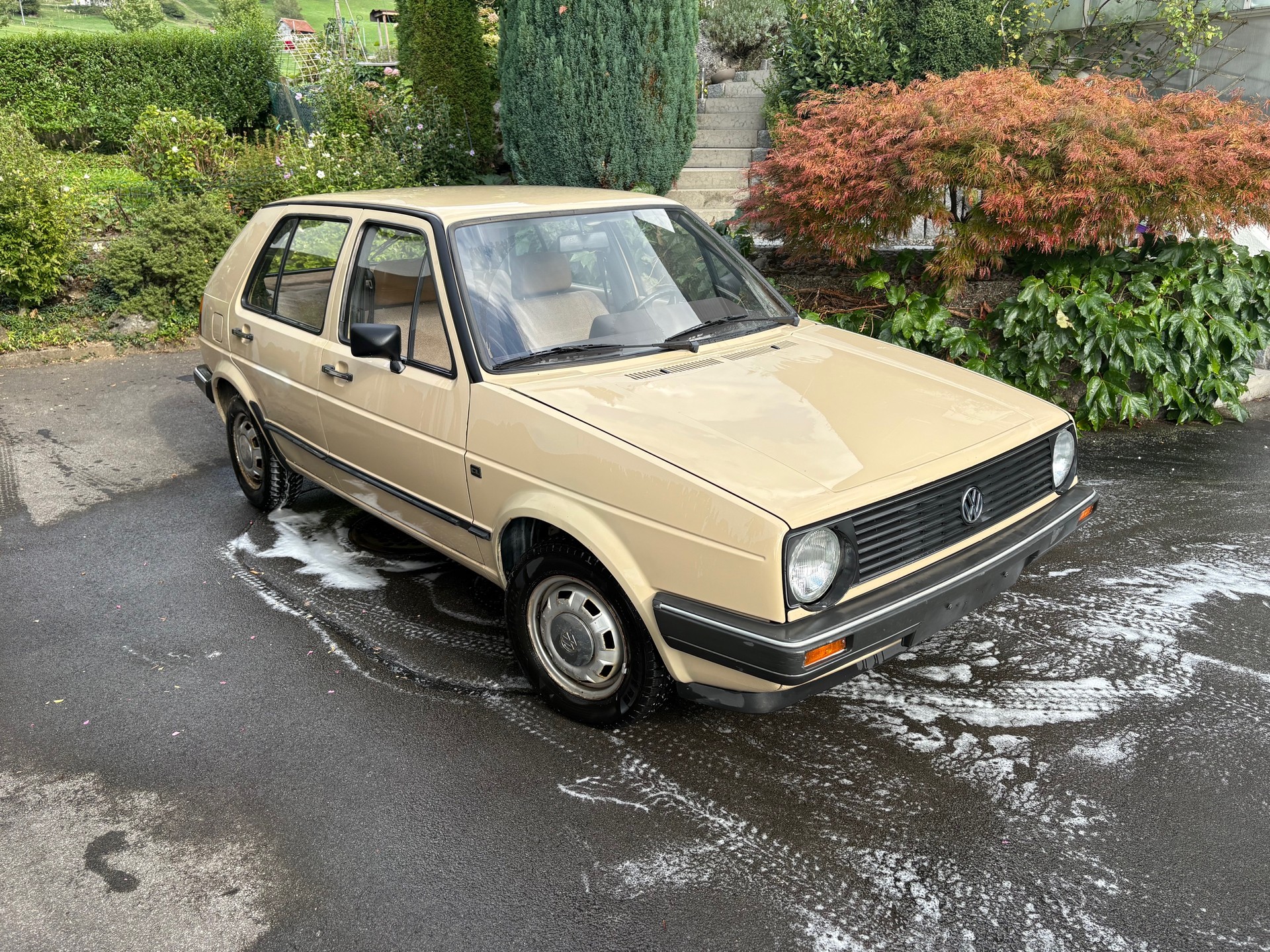 VW 2 TD-image-0