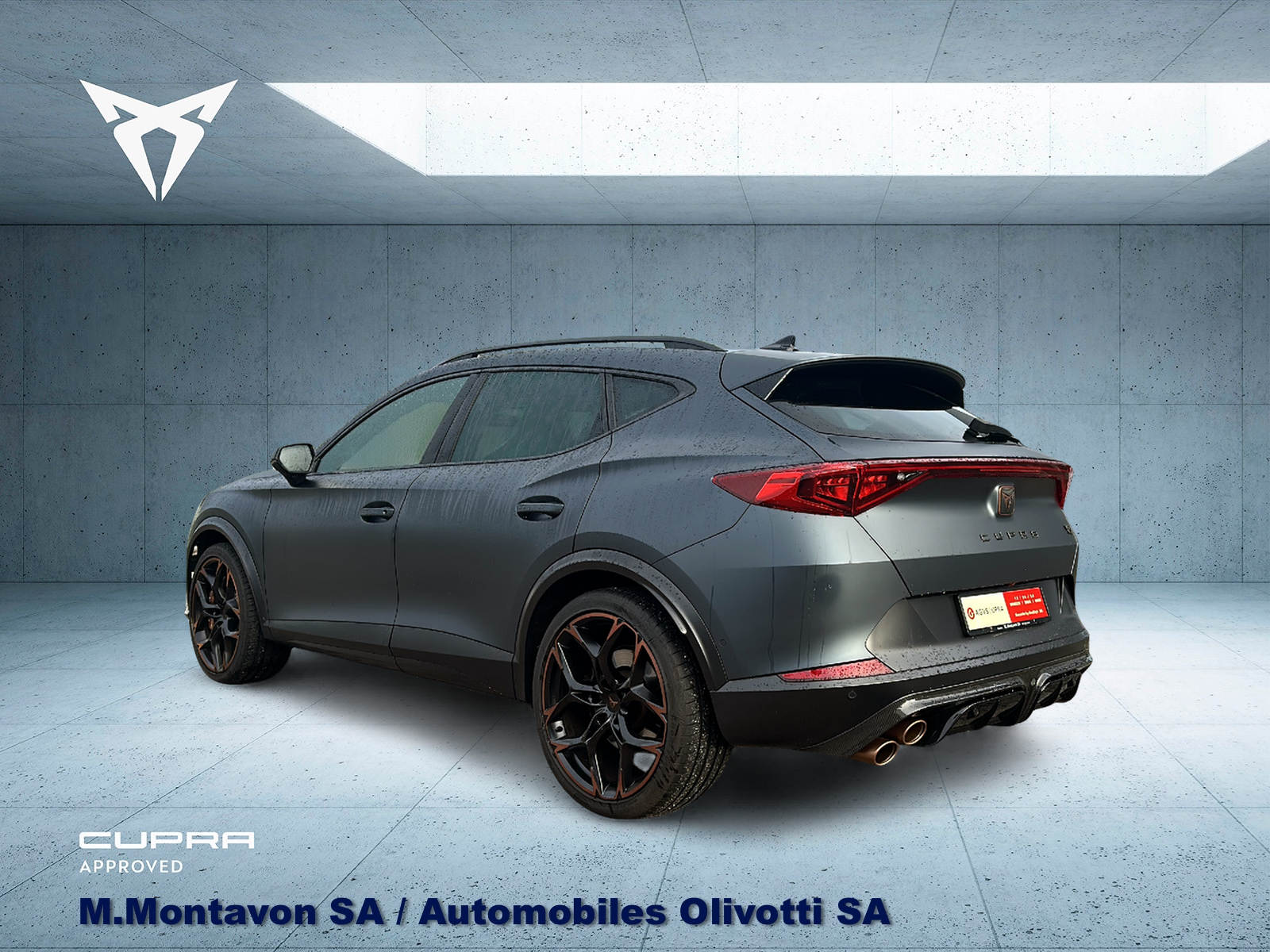 CUPRA Formentor 2.5TSI VZ5 4Drive DSG-image-4
