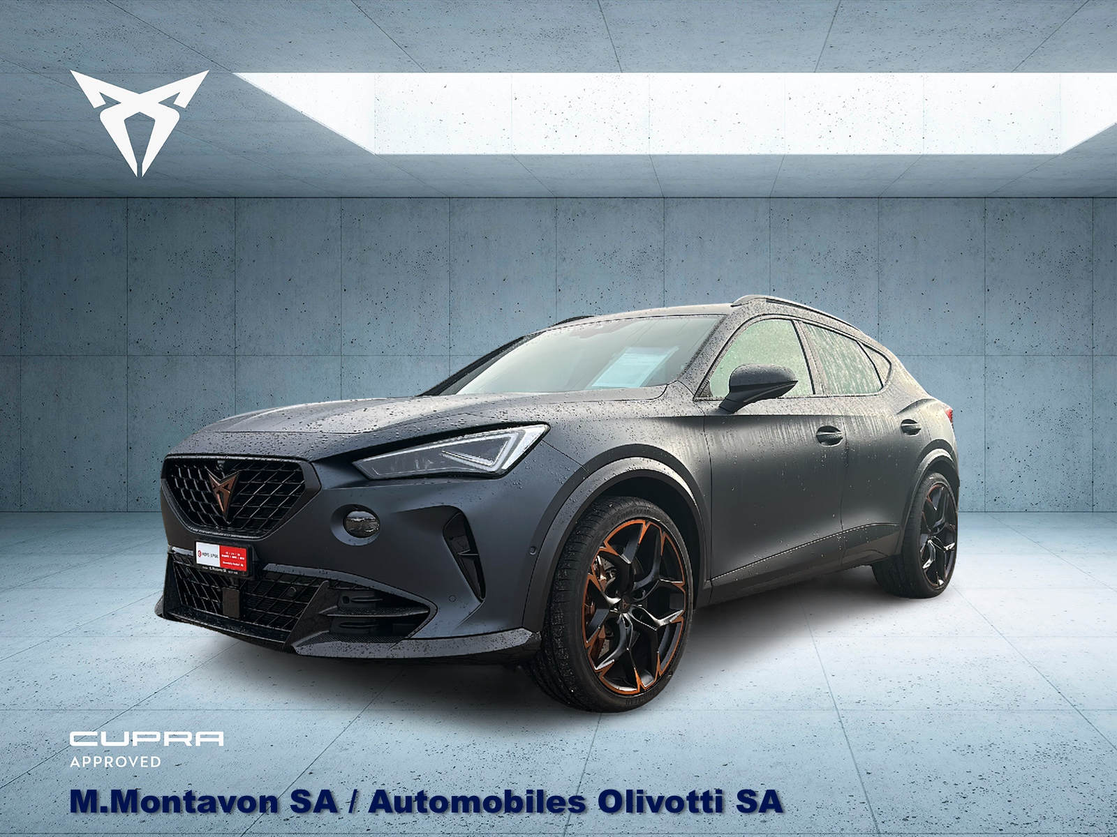 CUPRA Formentor 2.5TSI VZ5 4Drive DSG-image-0