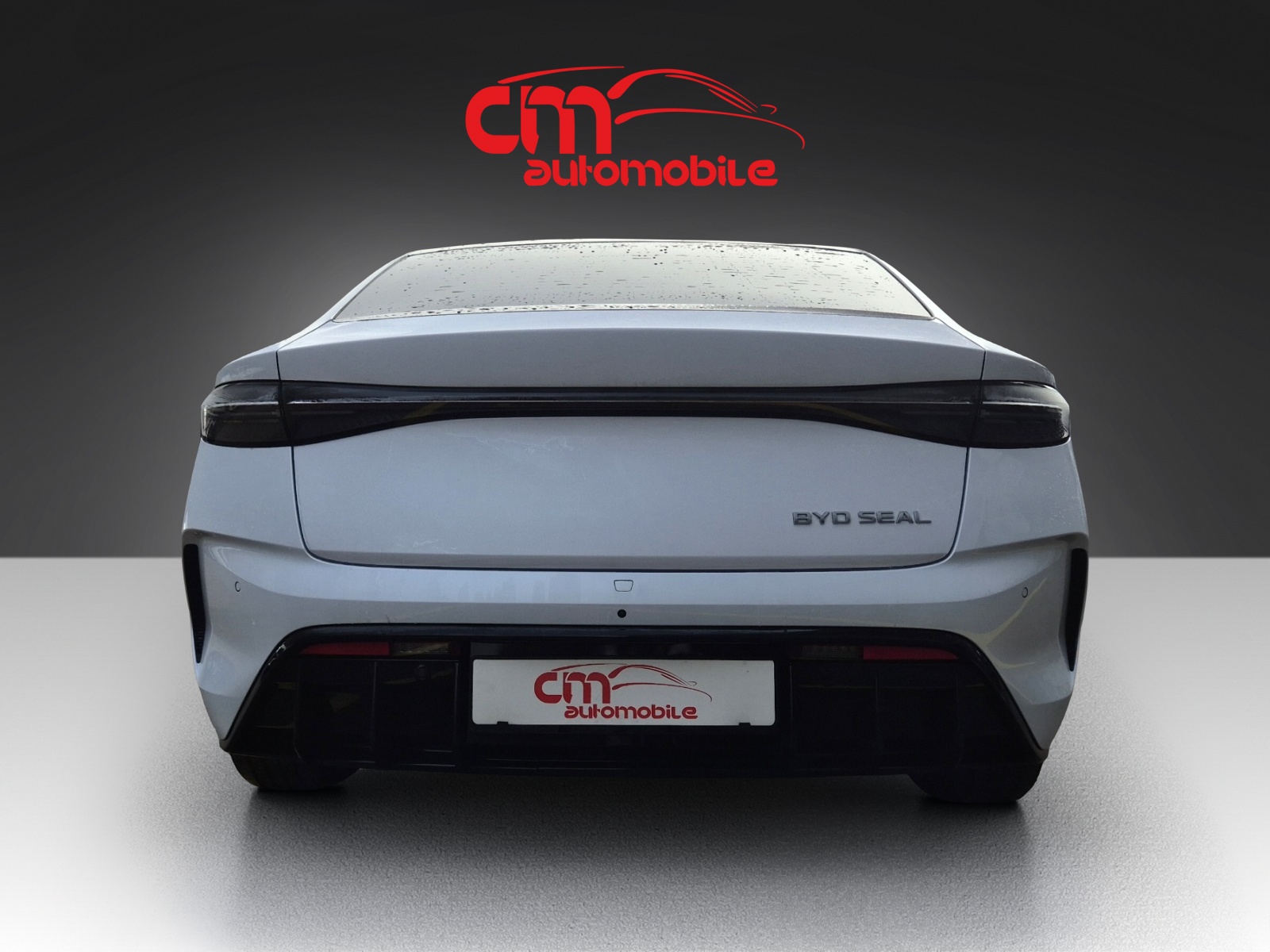 BYD Seal Design-image-4
