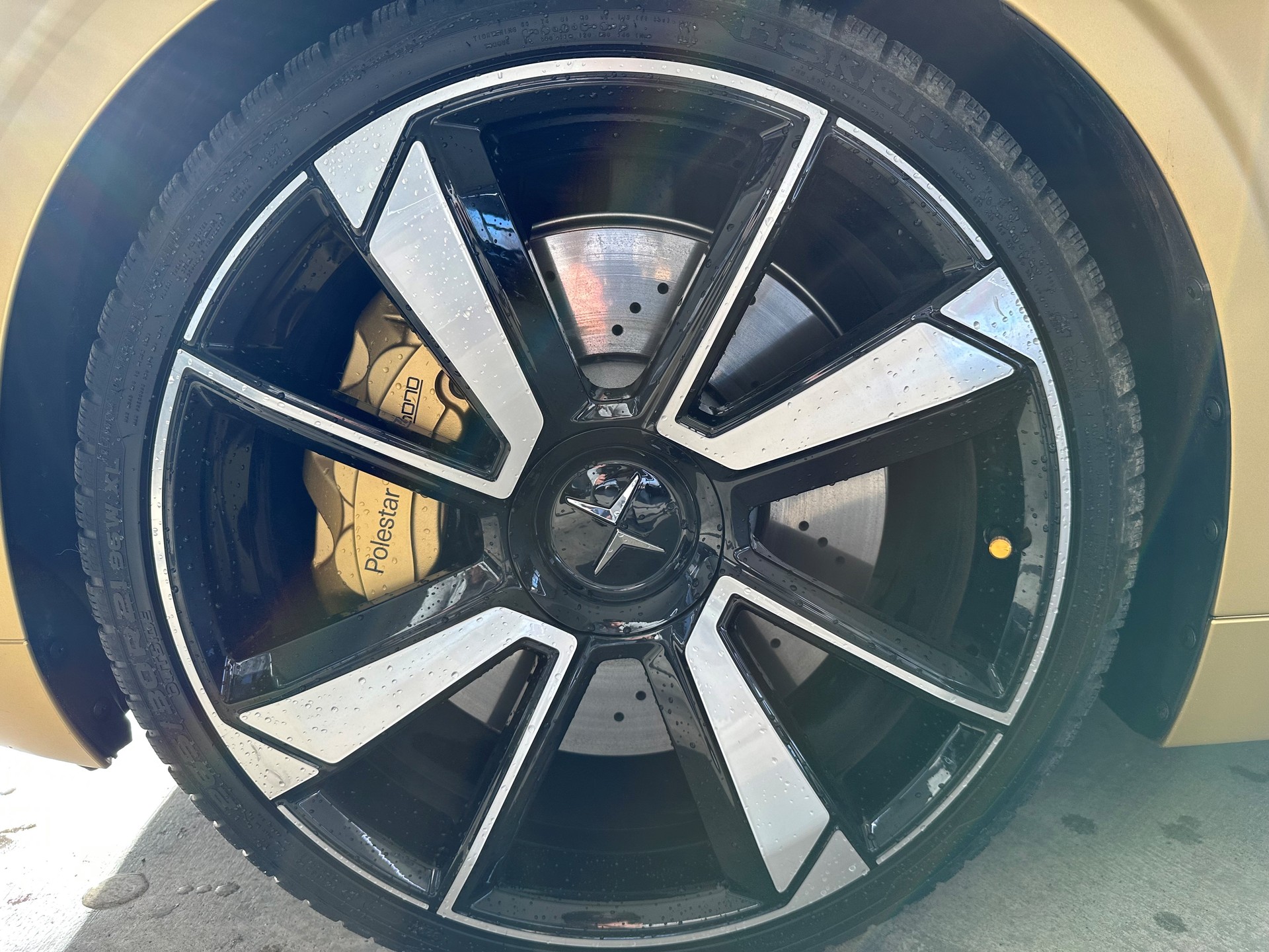 POLESTAR Polestar 1-image-7