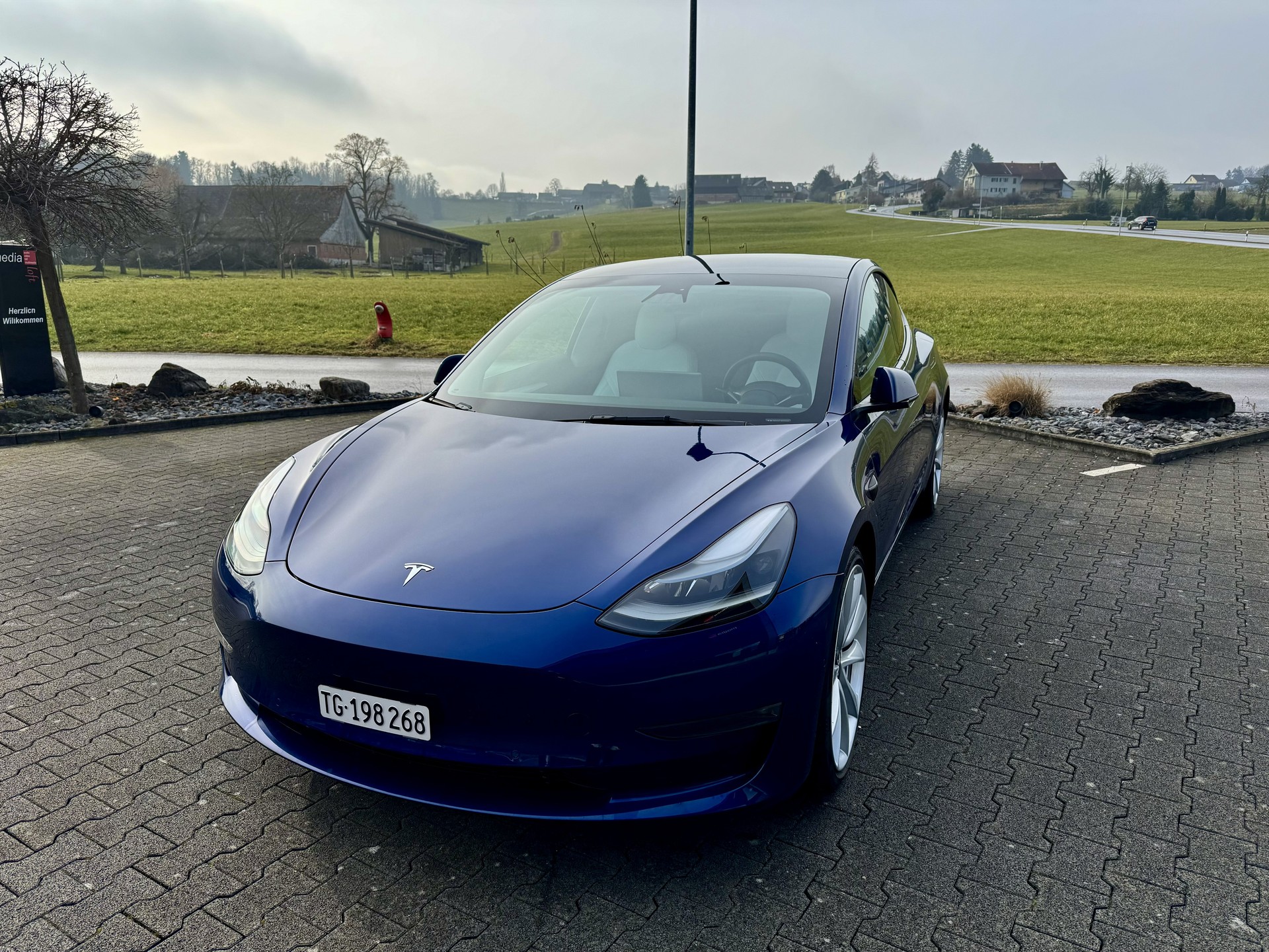 TESLA Model 3 Performance Dual Motor AWD-image-0