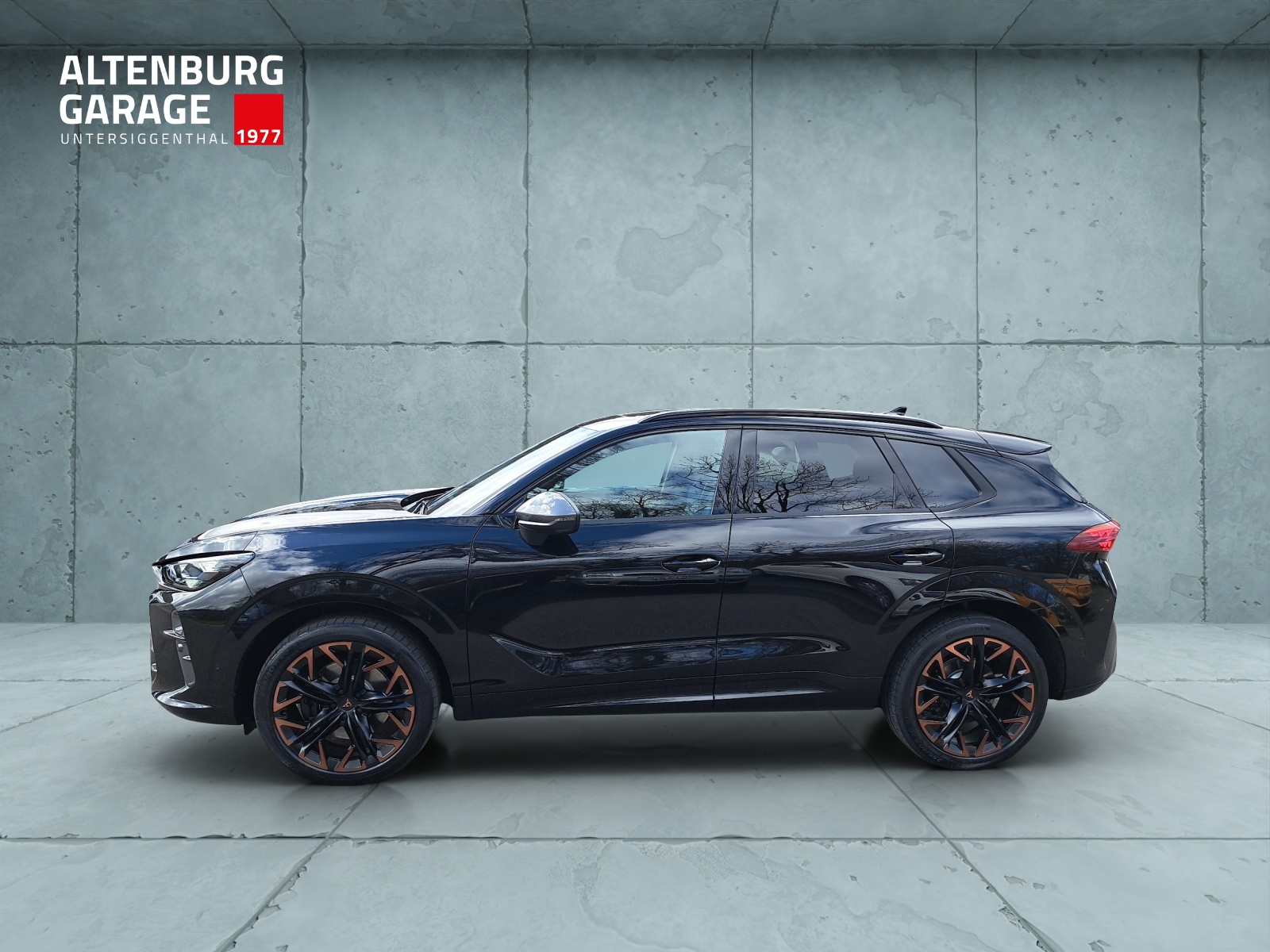CUPRA Terramar 2.0 TSI DSG 4Drive VZ-image-1