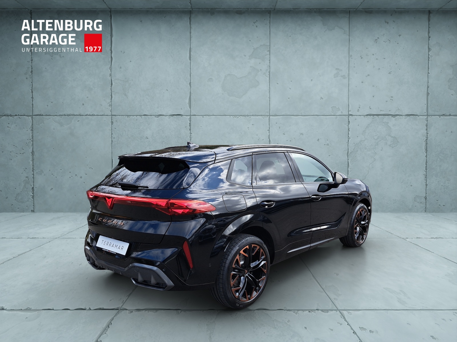 CUPRA Terramar 2.0 TSI DSG 4Drive VZ-image-4
