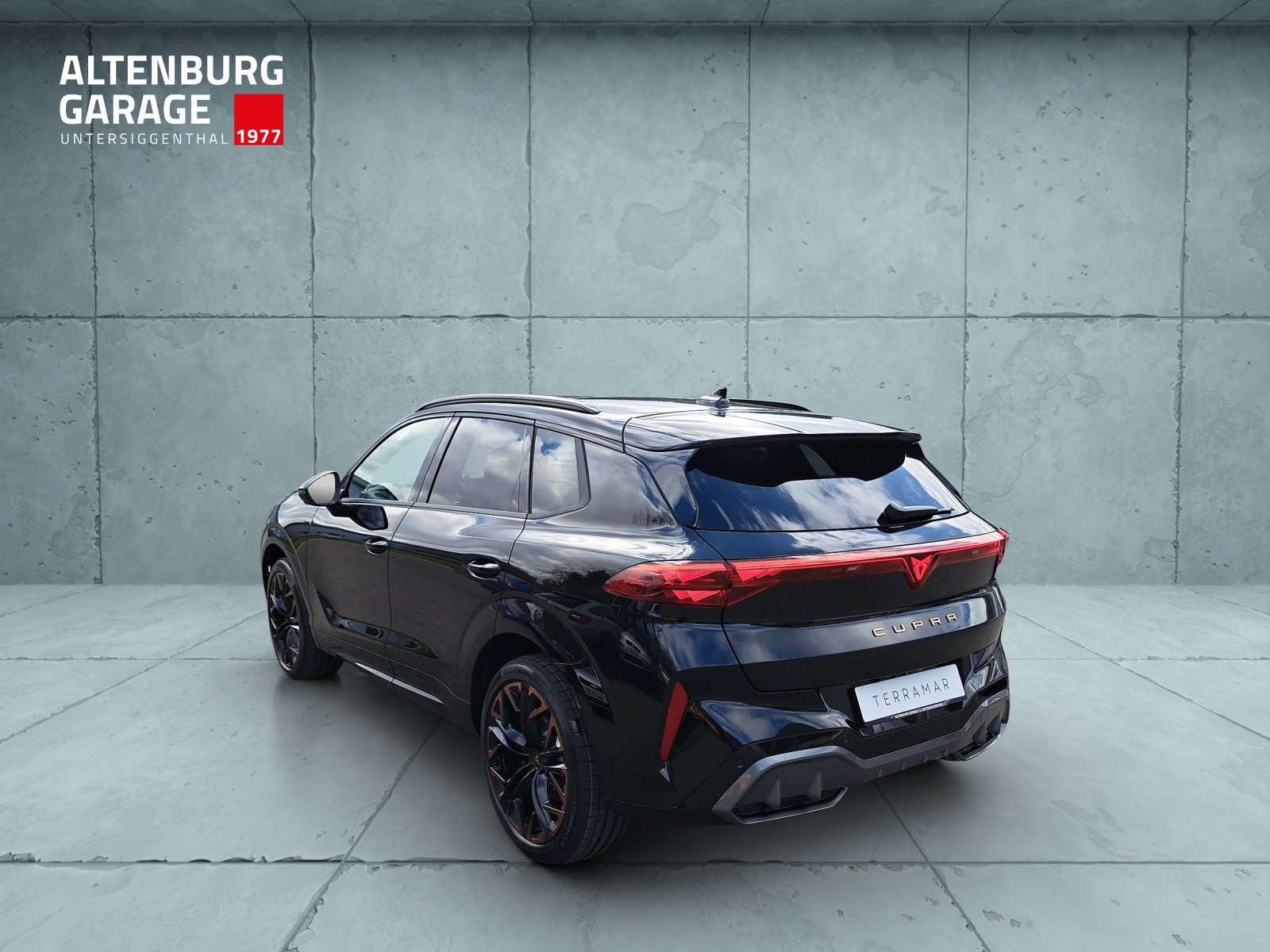 CUPRA Terramar 2.0 TSI DSG 4Drive VZ-image-2