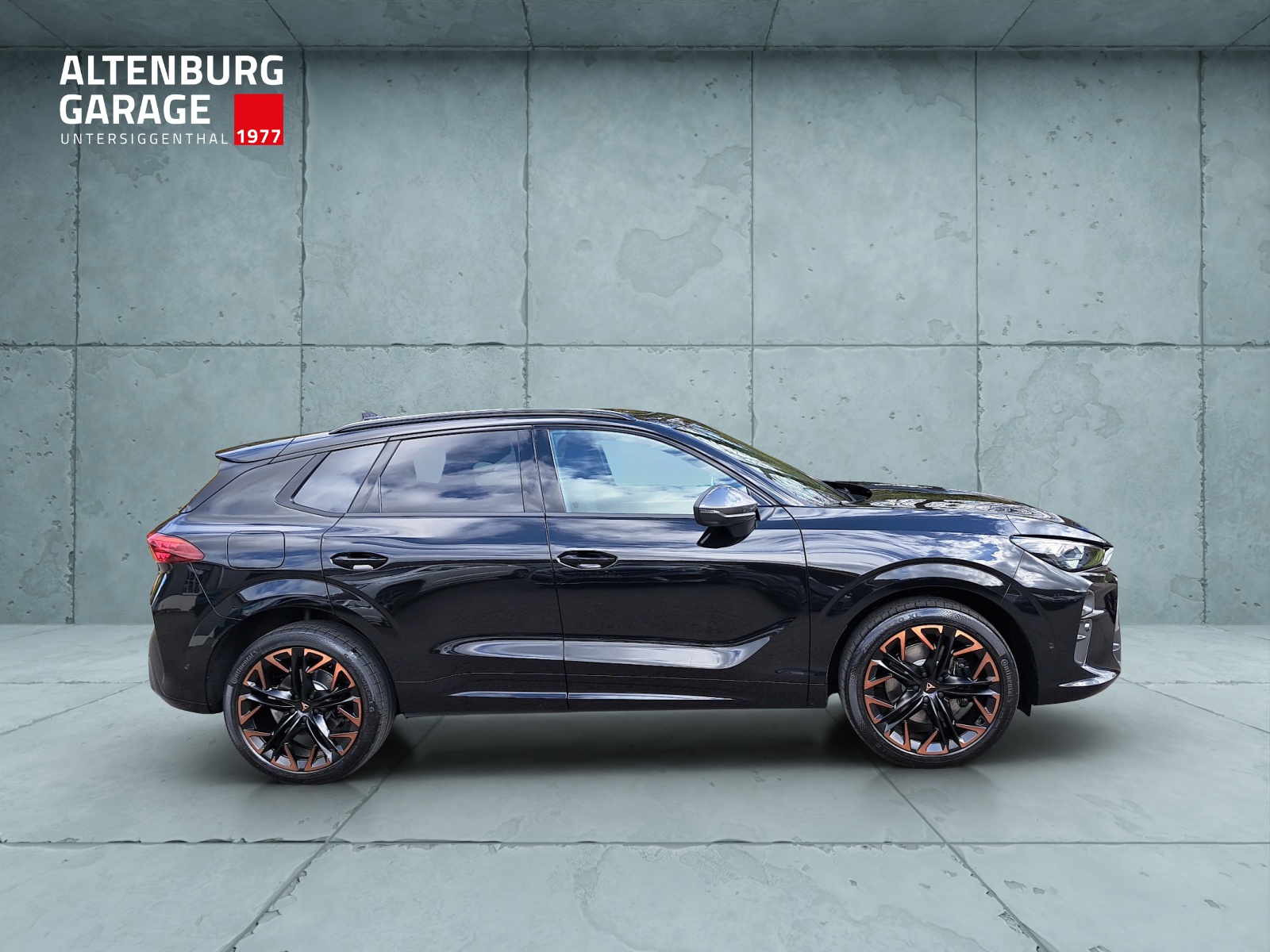 CUPRA Terramar 2.0 TSI DSG 4Drive VZ-image-5