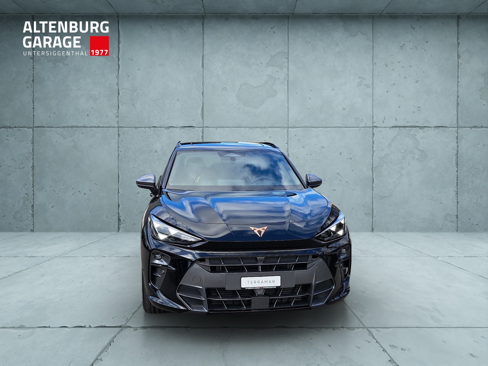 CUPRA Terramar 2.0 TSI DSG 4Drive VZ-image-7