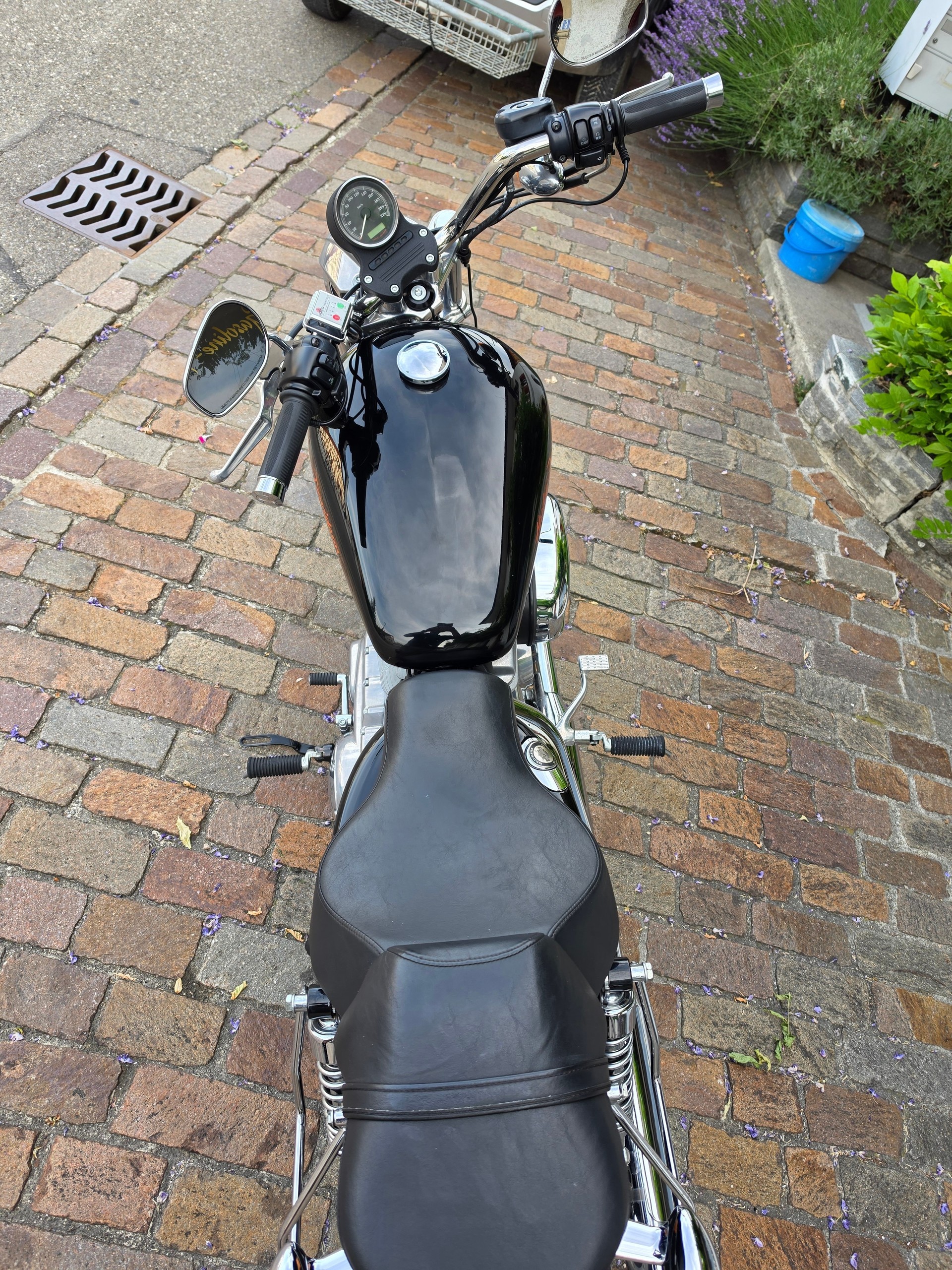 HARLEY-DAVIDSON XL 883 L Sportster Super Low-image-6