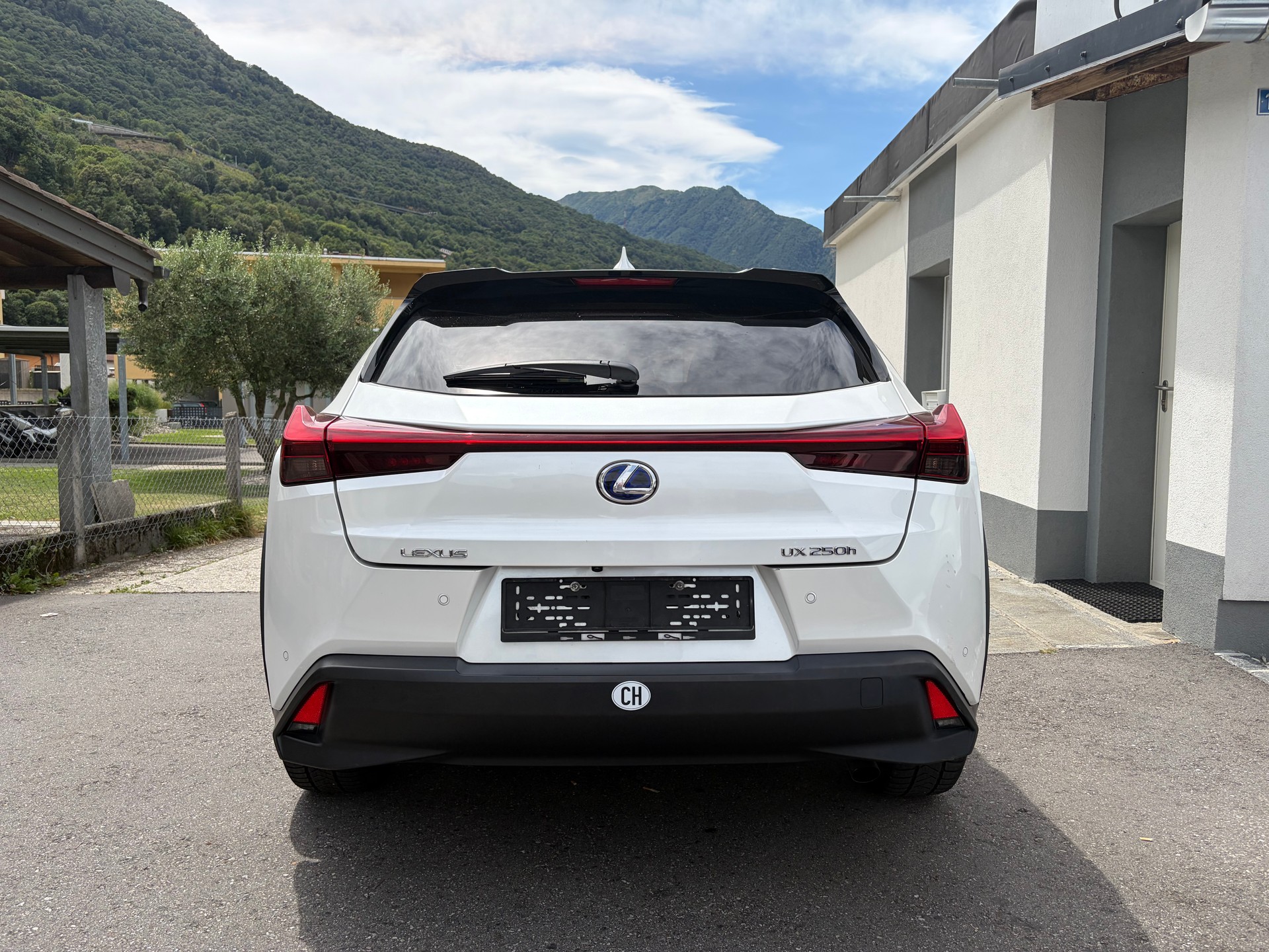 LEXUS UX 250h Excellence AWD Automatic-image-6