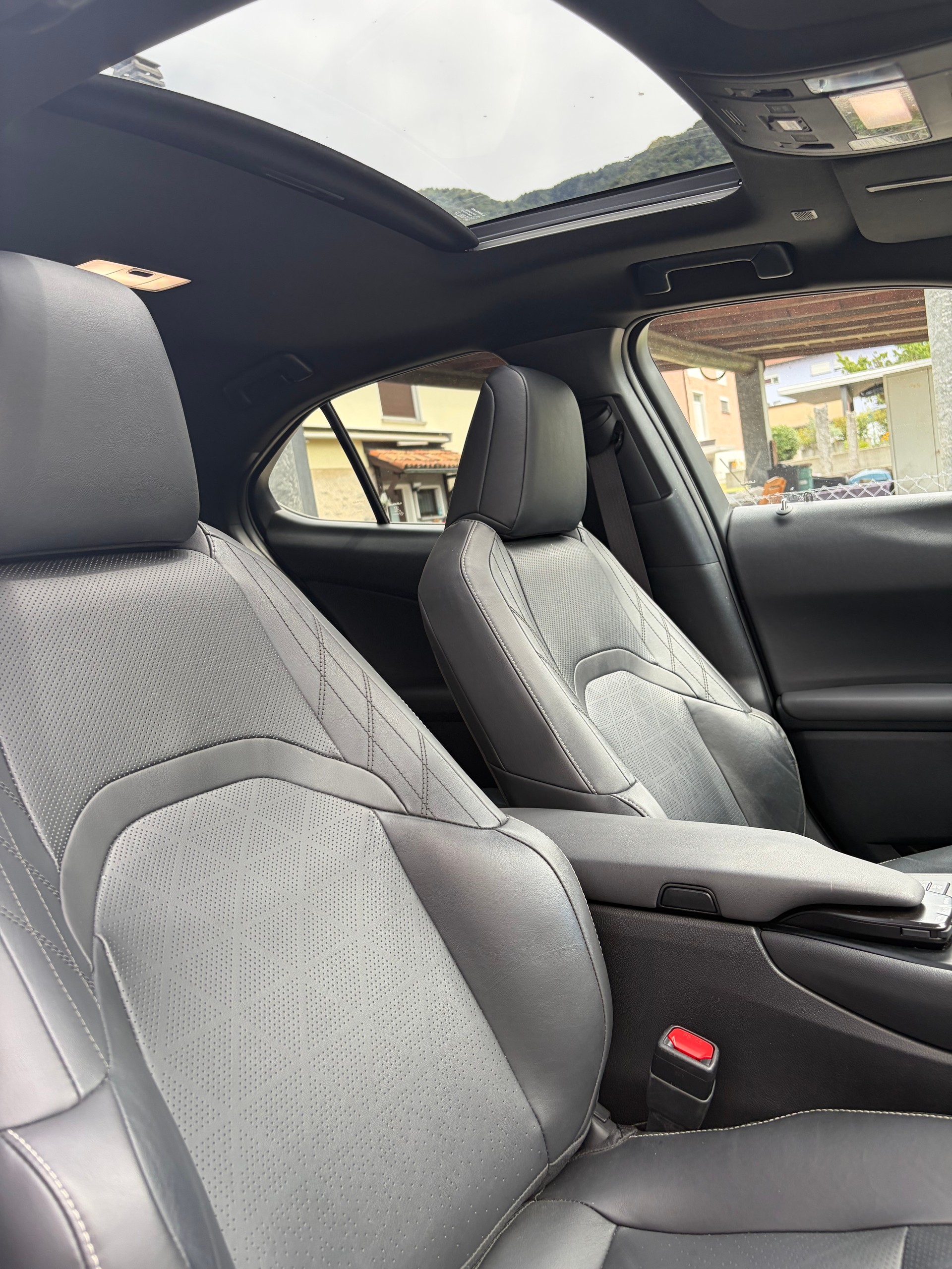 LEXUS UX 250h Excellence AWD Automatic-image-10