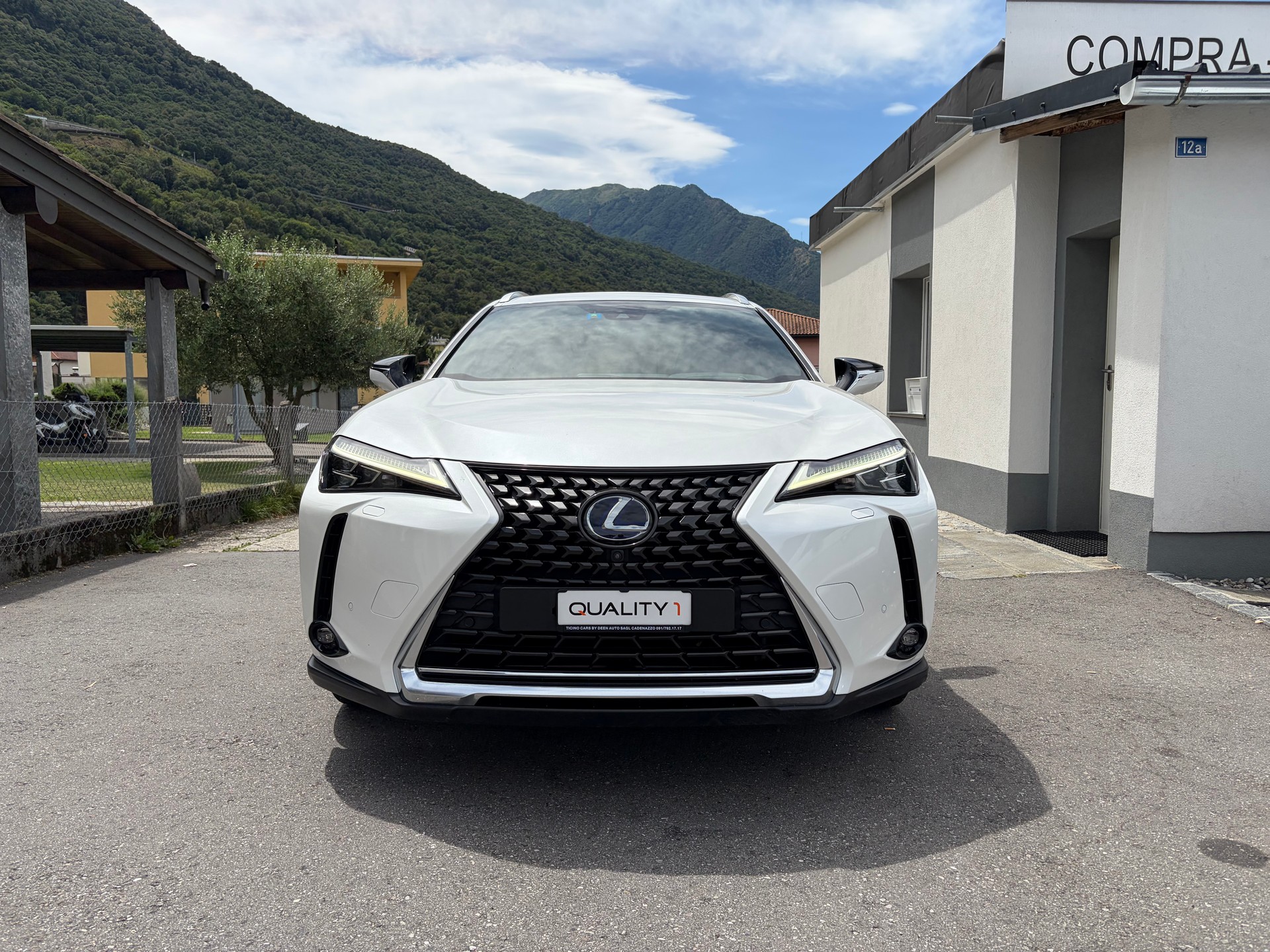 LEXUS UX 250h Excellence AWD Automatic-image-5