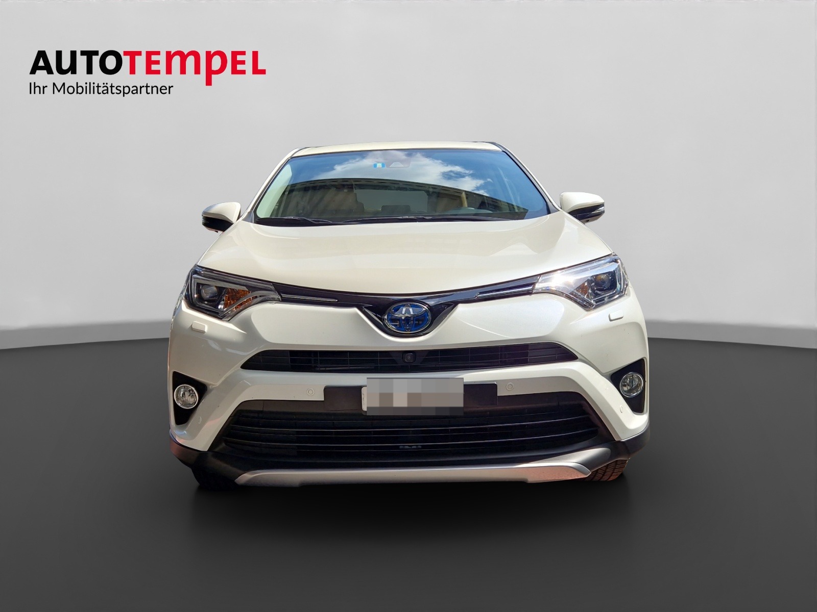 TOYOTA RAV-4 2.5 HSD Premium 43762/000-image-6