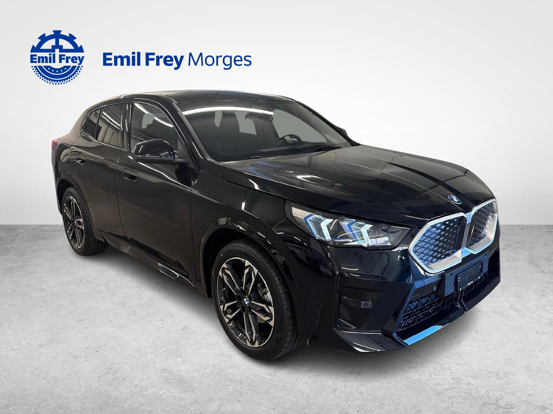 BMW iX2 20 eDrive-image-6