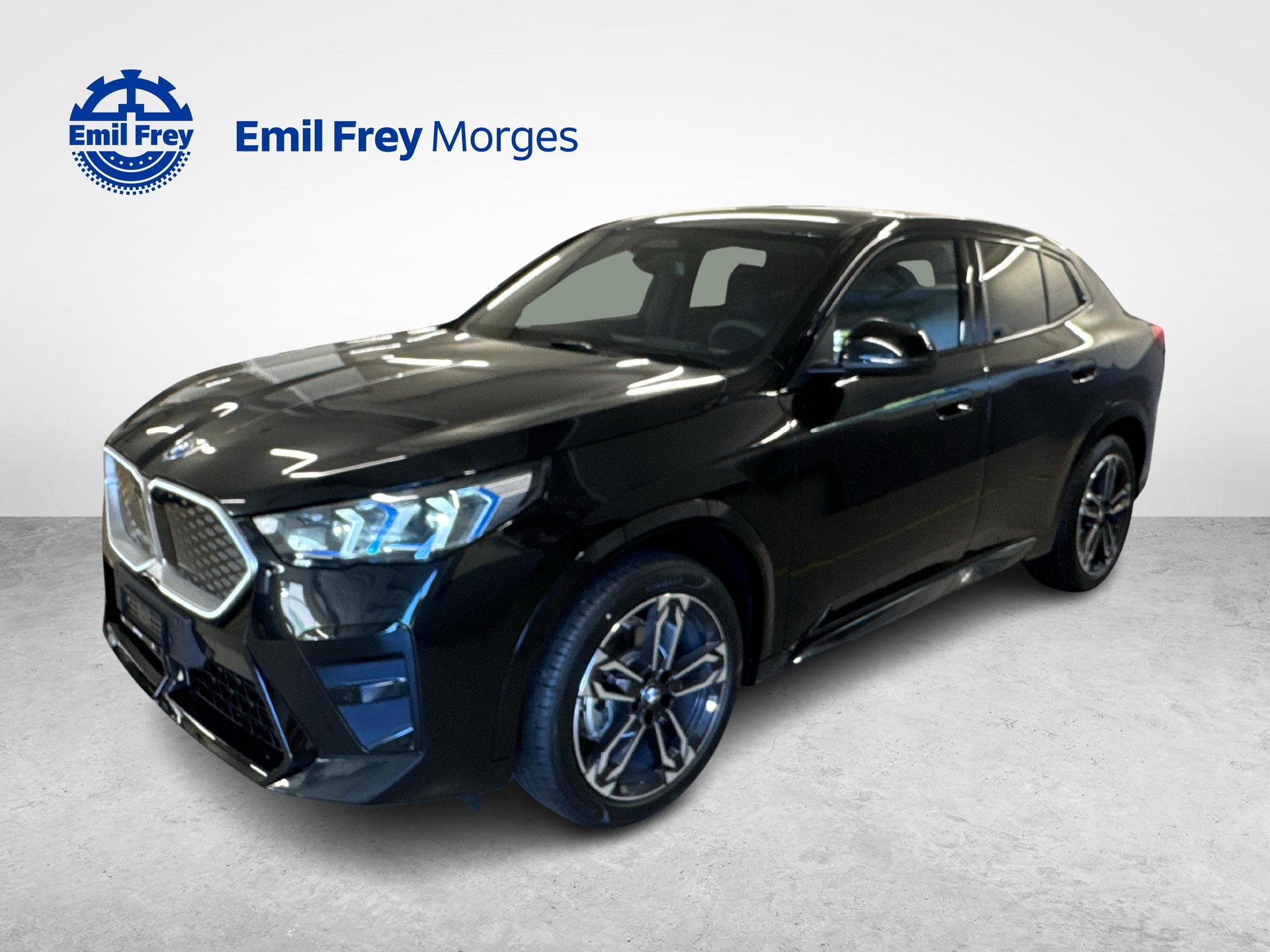 BMW iX2 20 eDrive-image-0