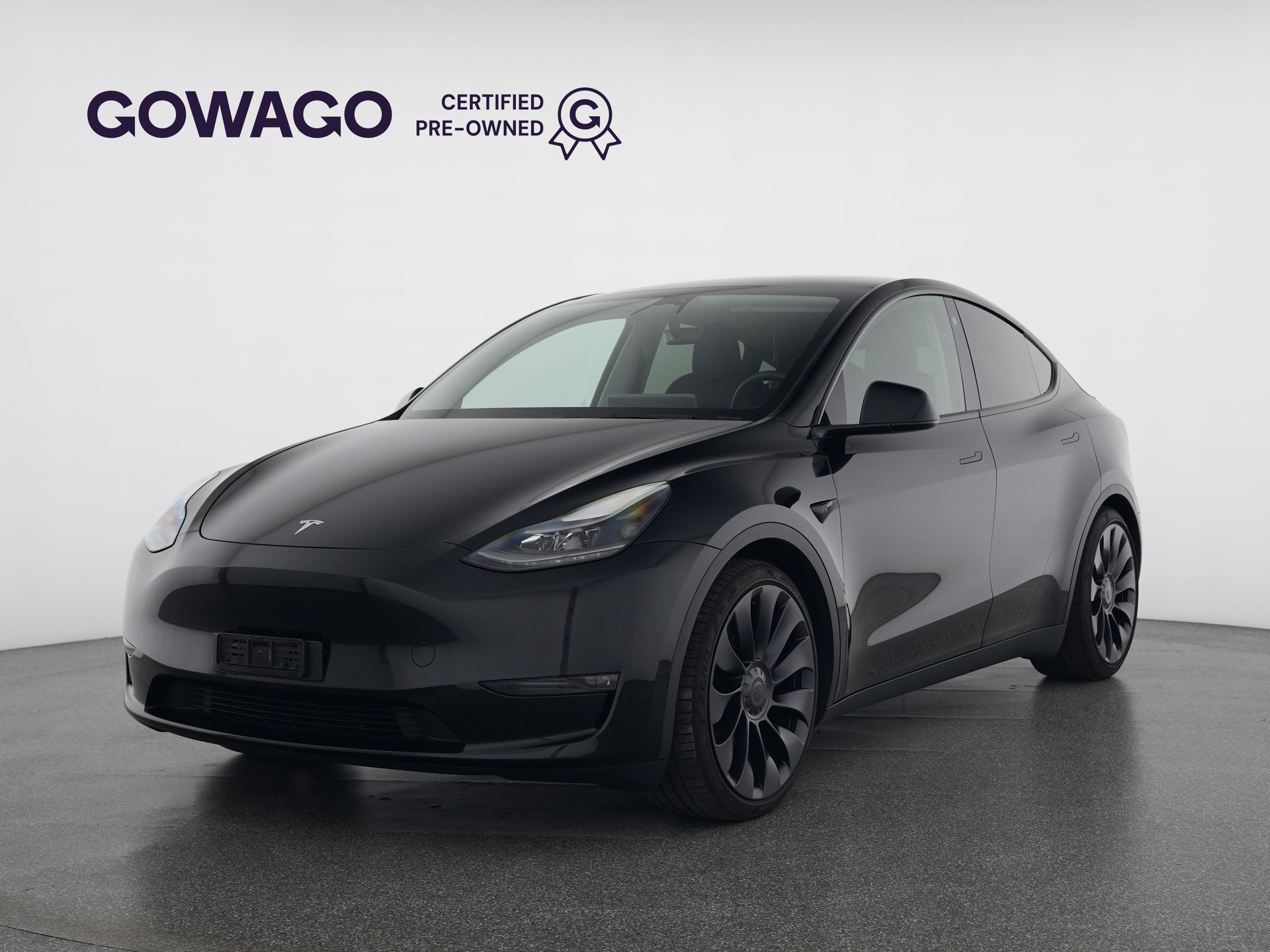TESLA Model Y Performance-image-0