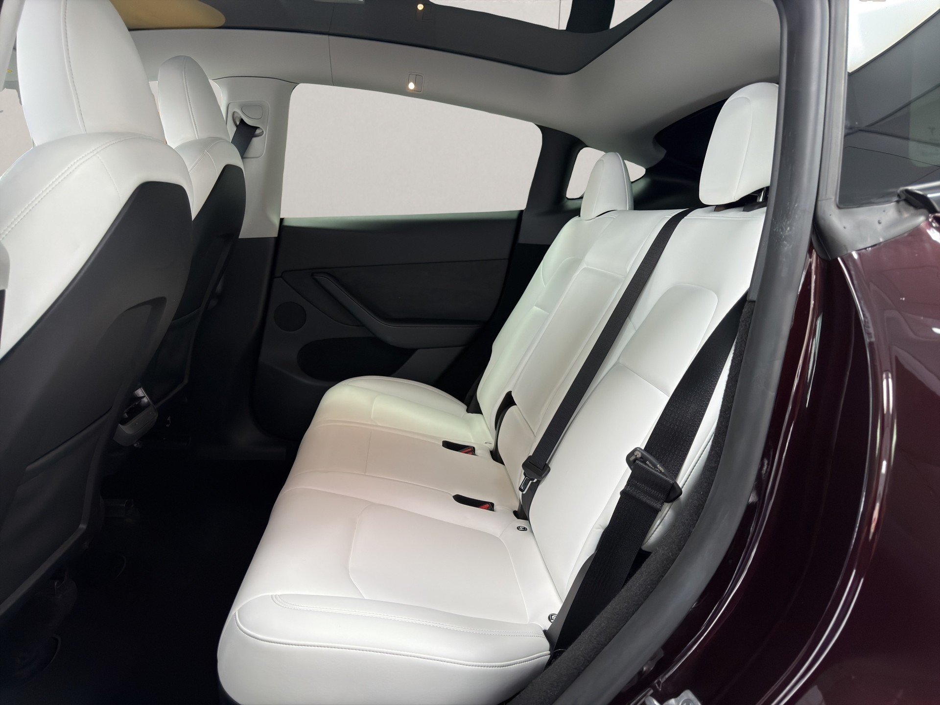TESLA Model Y Long Range mit Anhängerkupplung-image-6