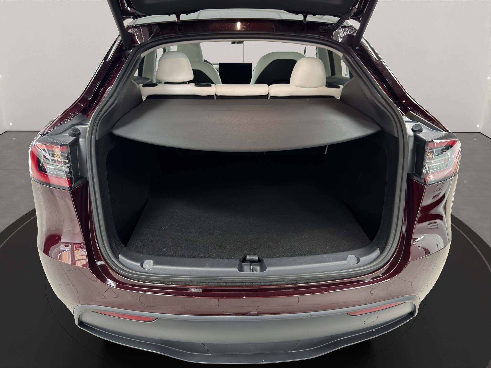 TESLA Model Y Long Range mit Anhängerkupplung-image-10