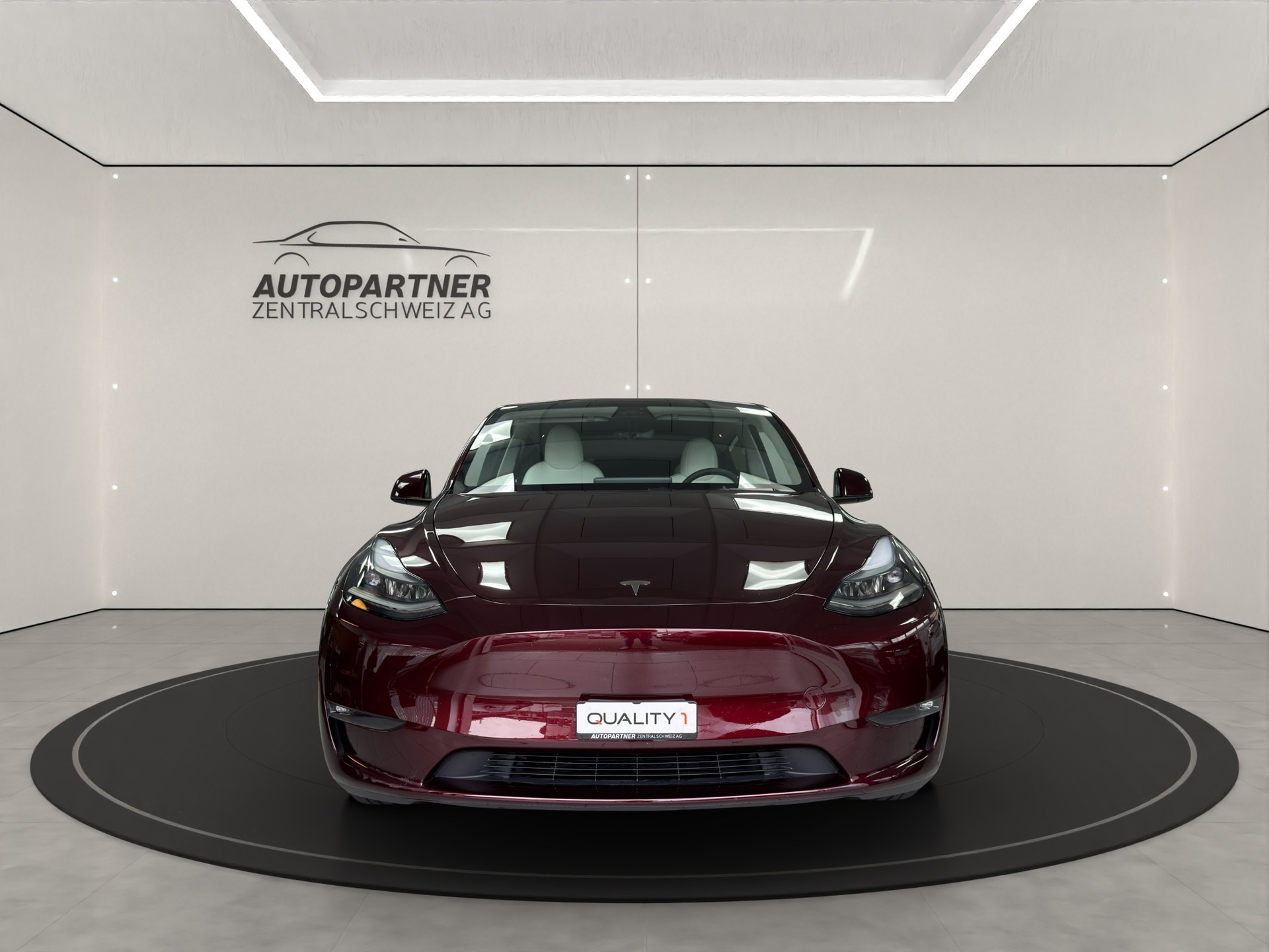 TESLA Model Y Long Range mit Anhängerkupplung-image-3